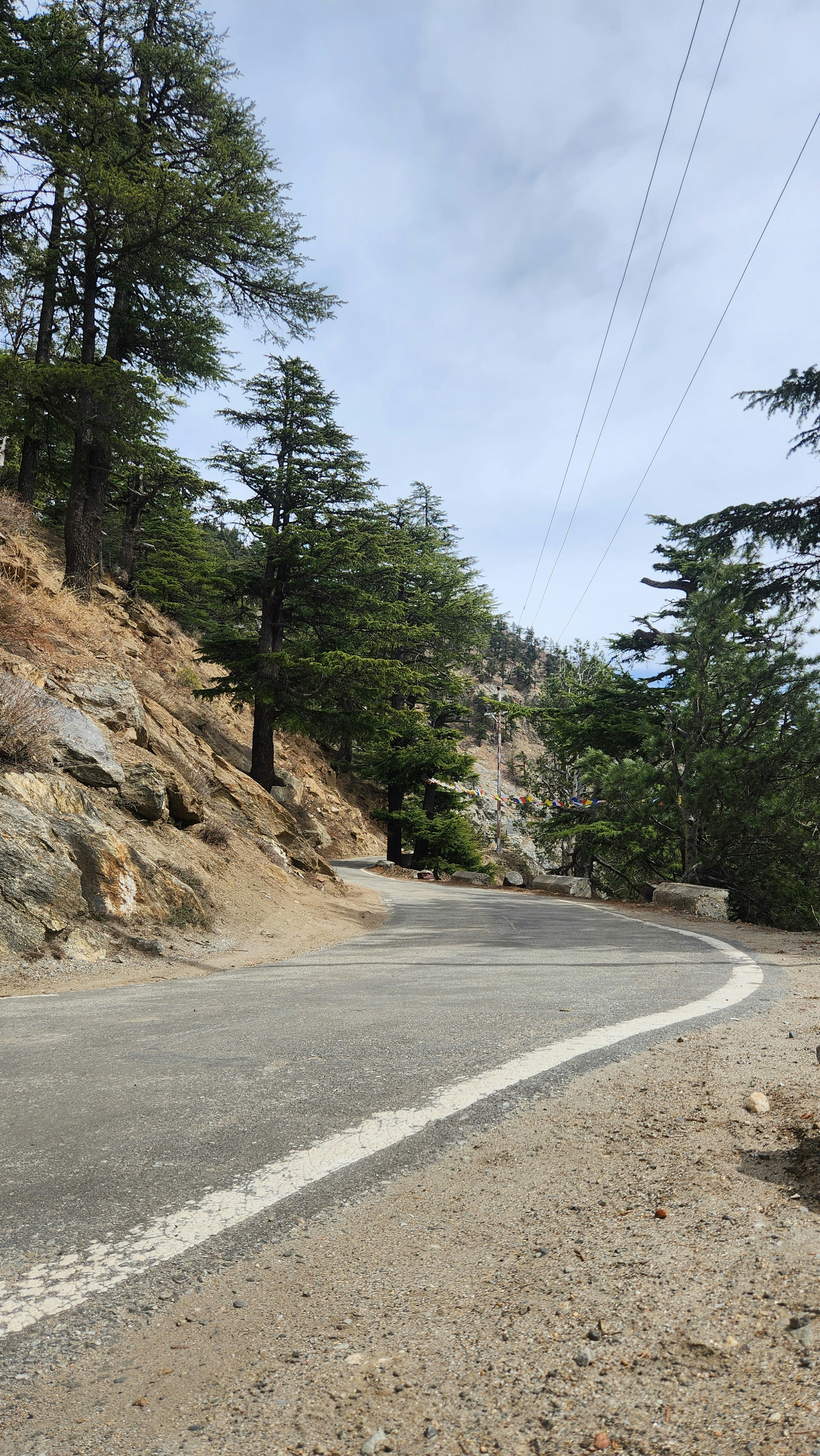 Photo by tibrewalpratik