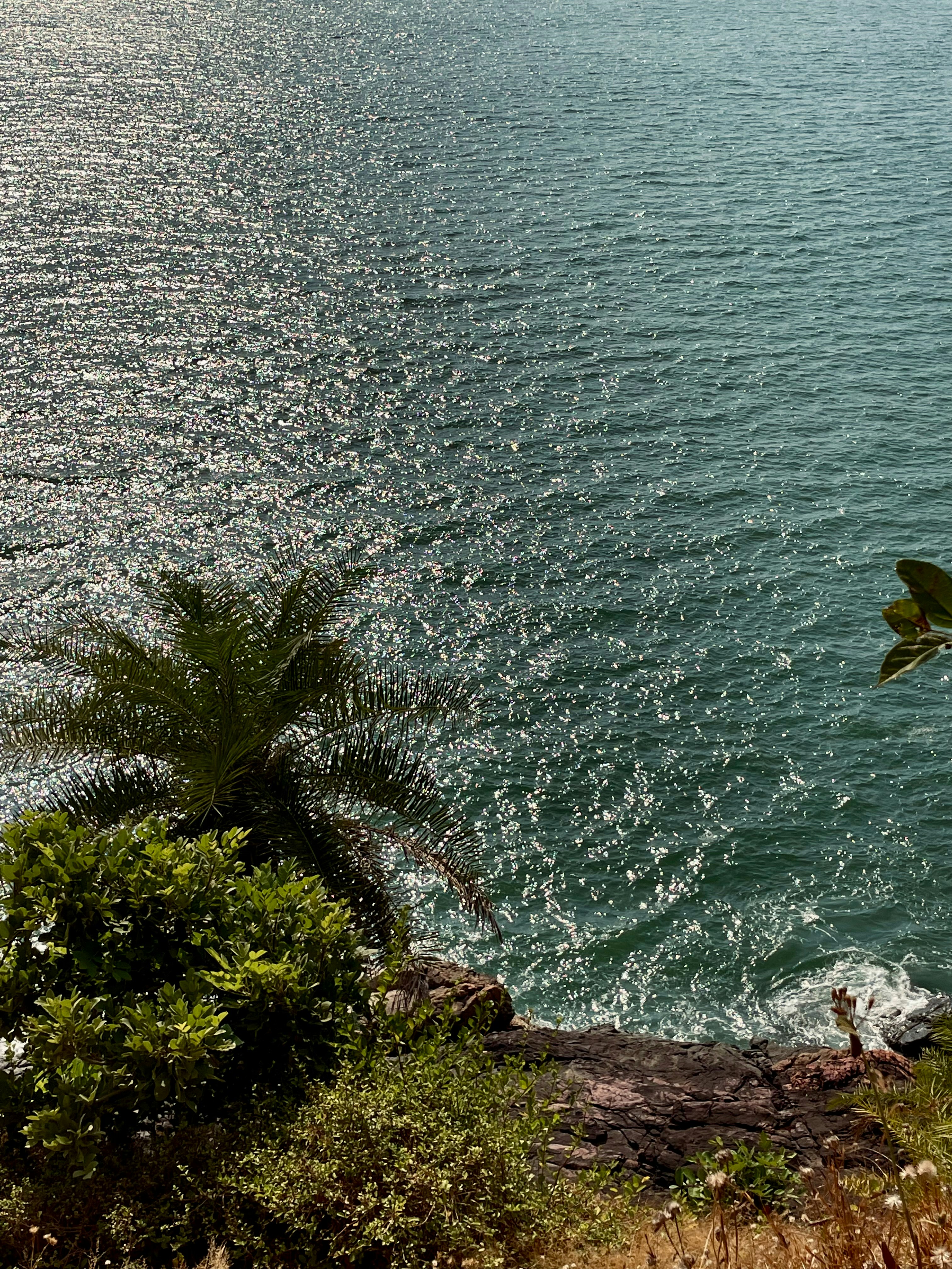 a view of a body of water from a hill