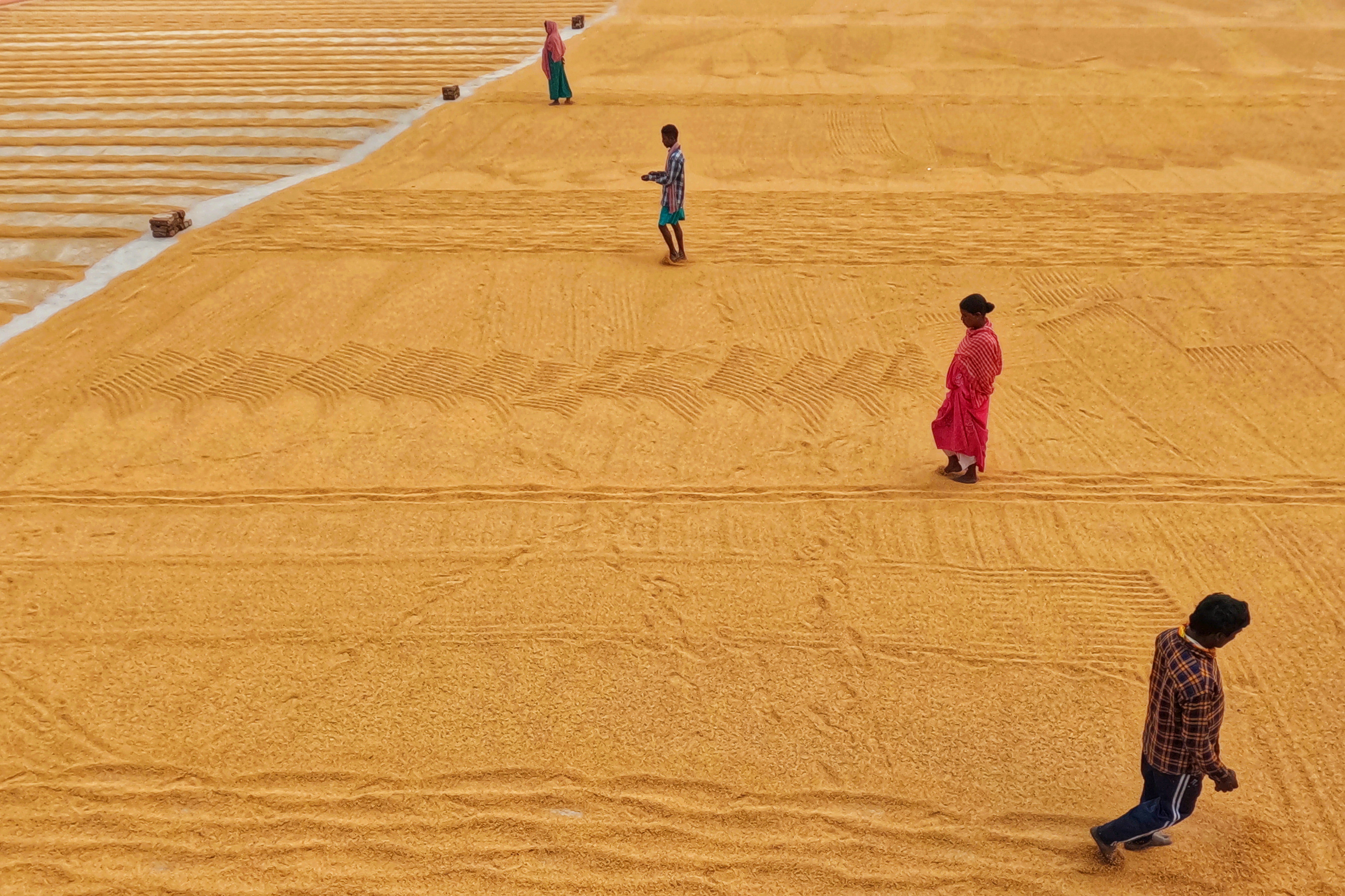 Photo by dibakar16roy