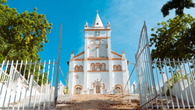 a white church with a steeple surrounded by trees