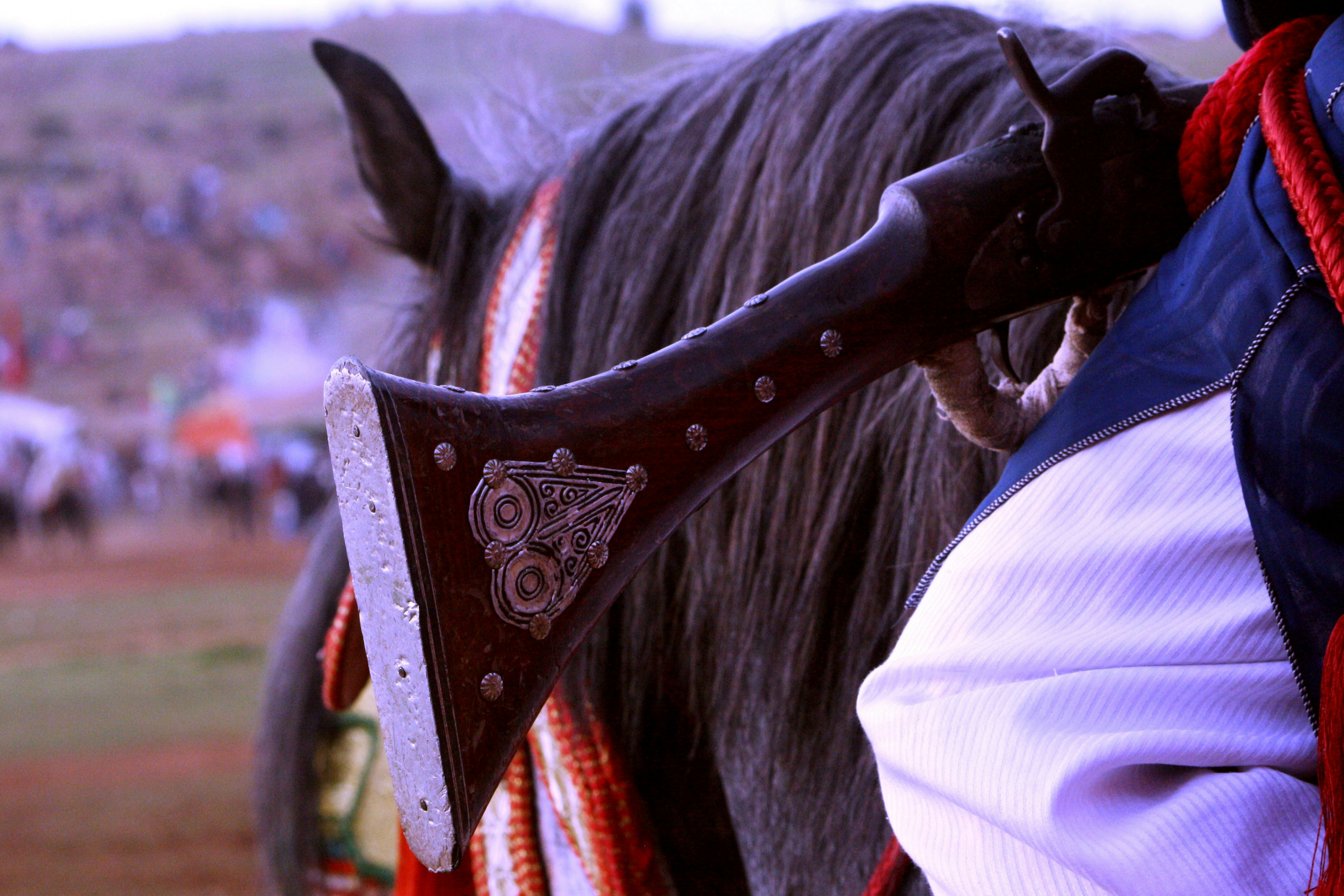 a close up of a horse's bridle with people in the background