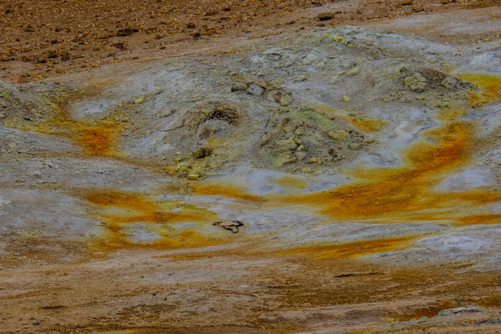 a brown and yellow substance on a rocky surface