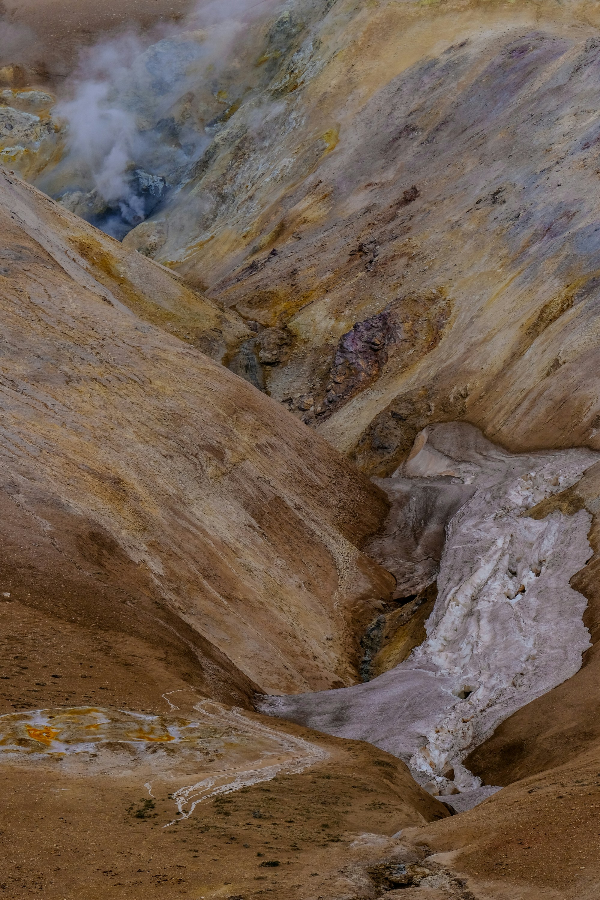 Photo by cestmoisheedy