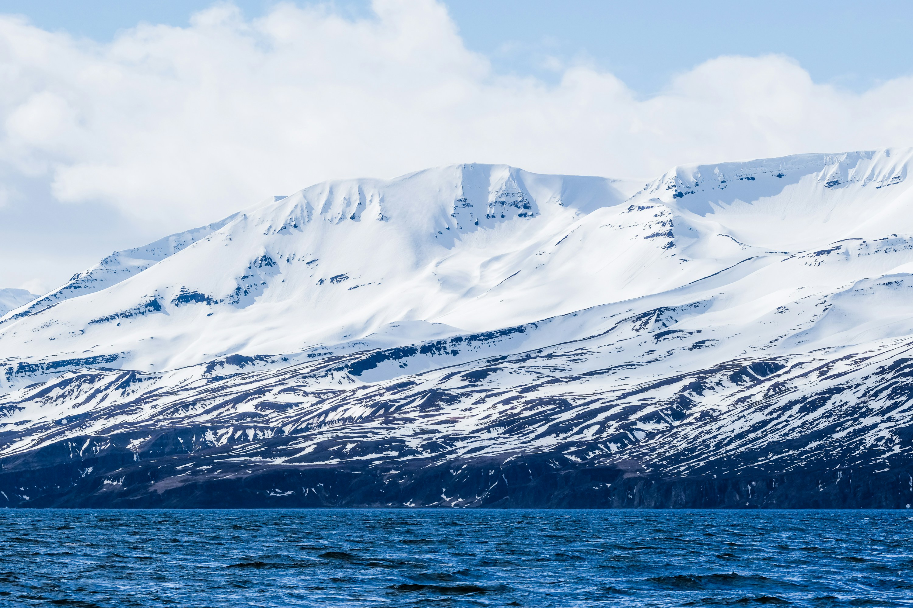 Photo by cestmoisheedy