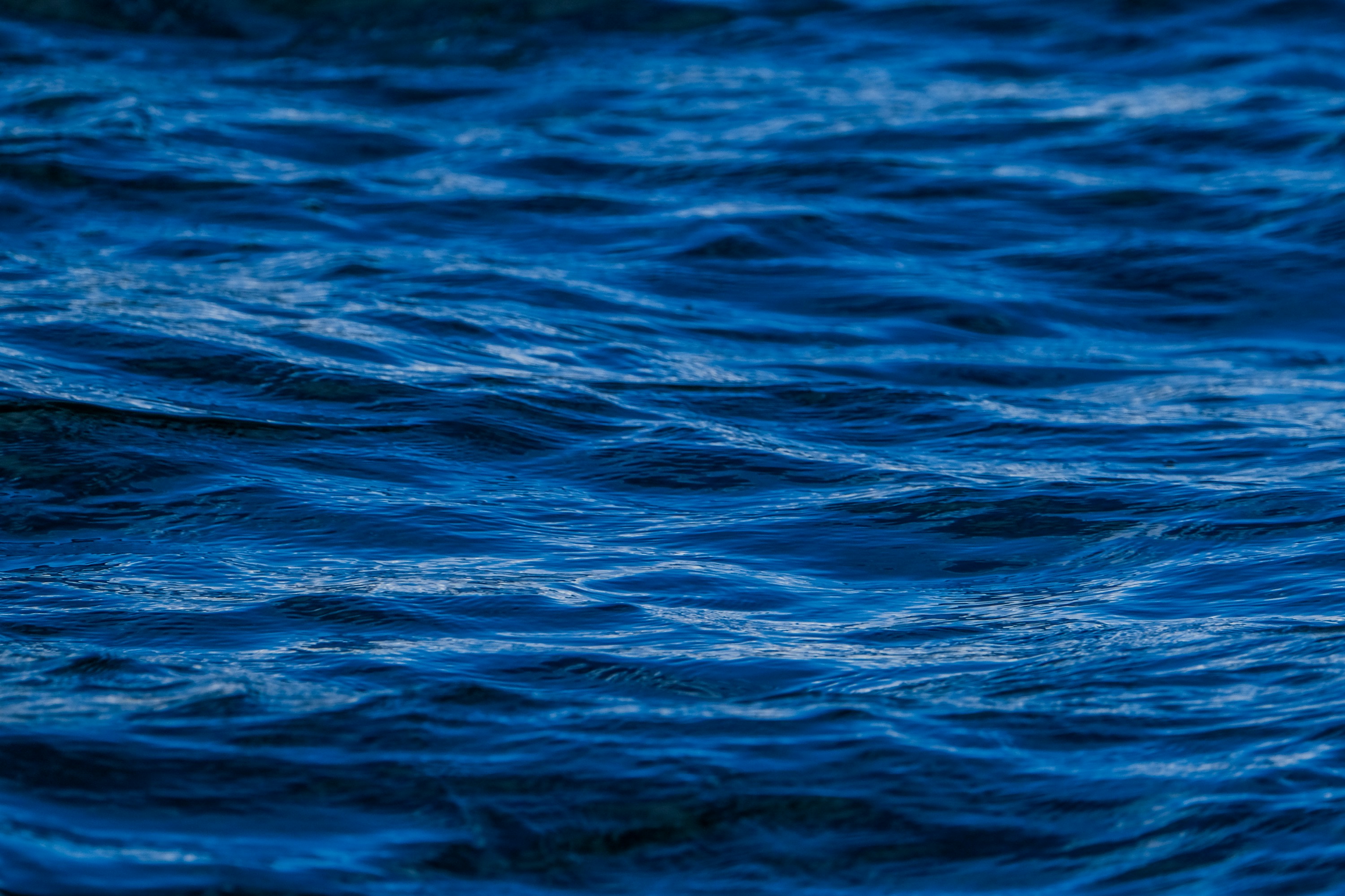 Photo by cestmoisheedy