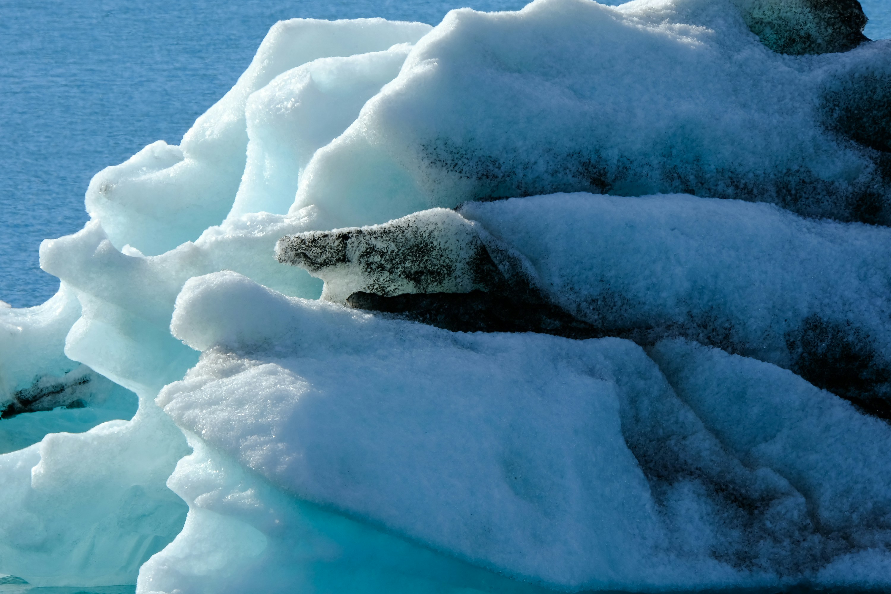 Photo by cestmoisheedy