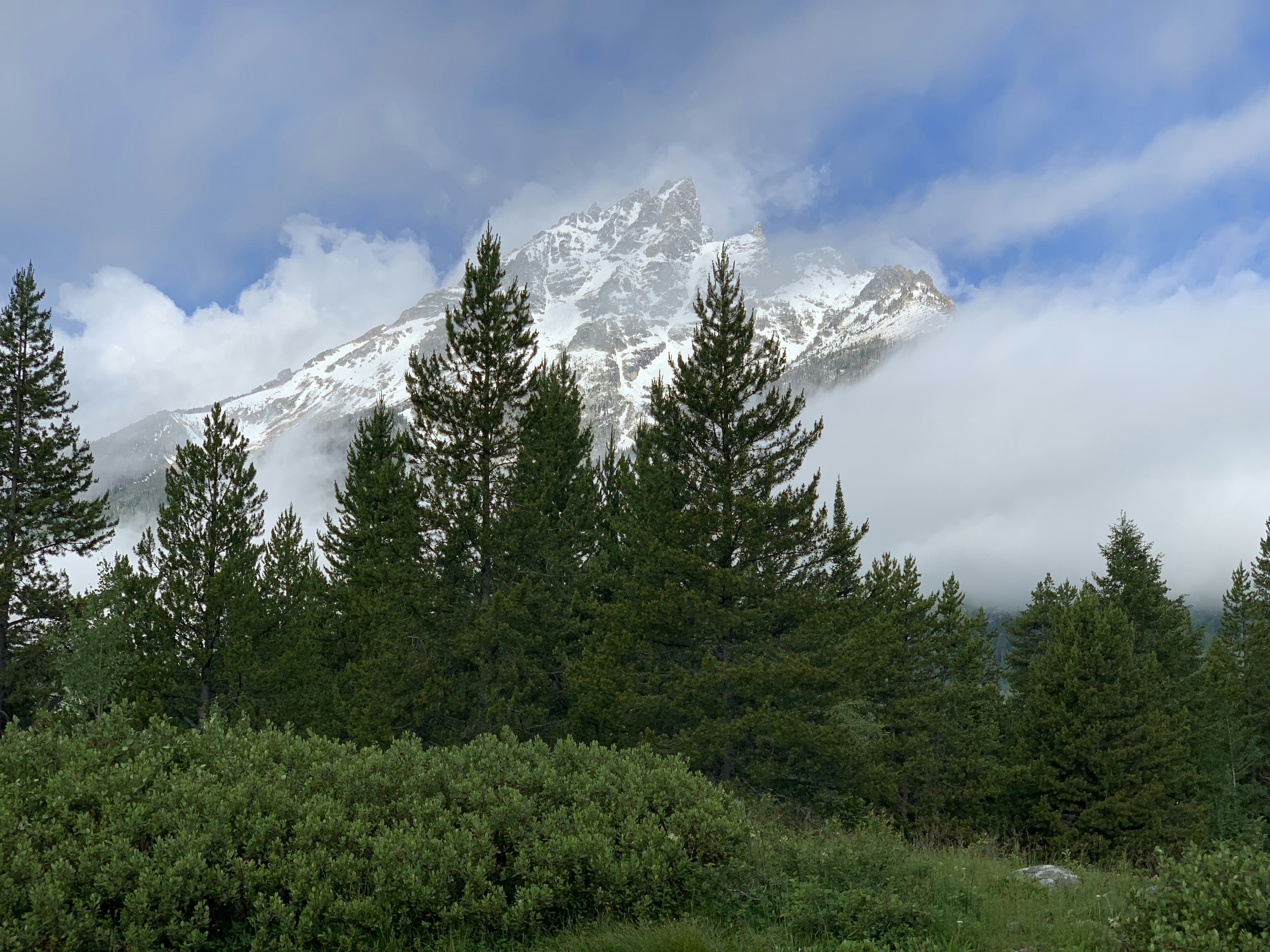 Photo by rajannepal048