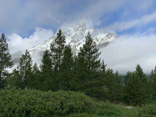 A snow covered mountain in the distance with trees in the foreground — Grand Teton, United States