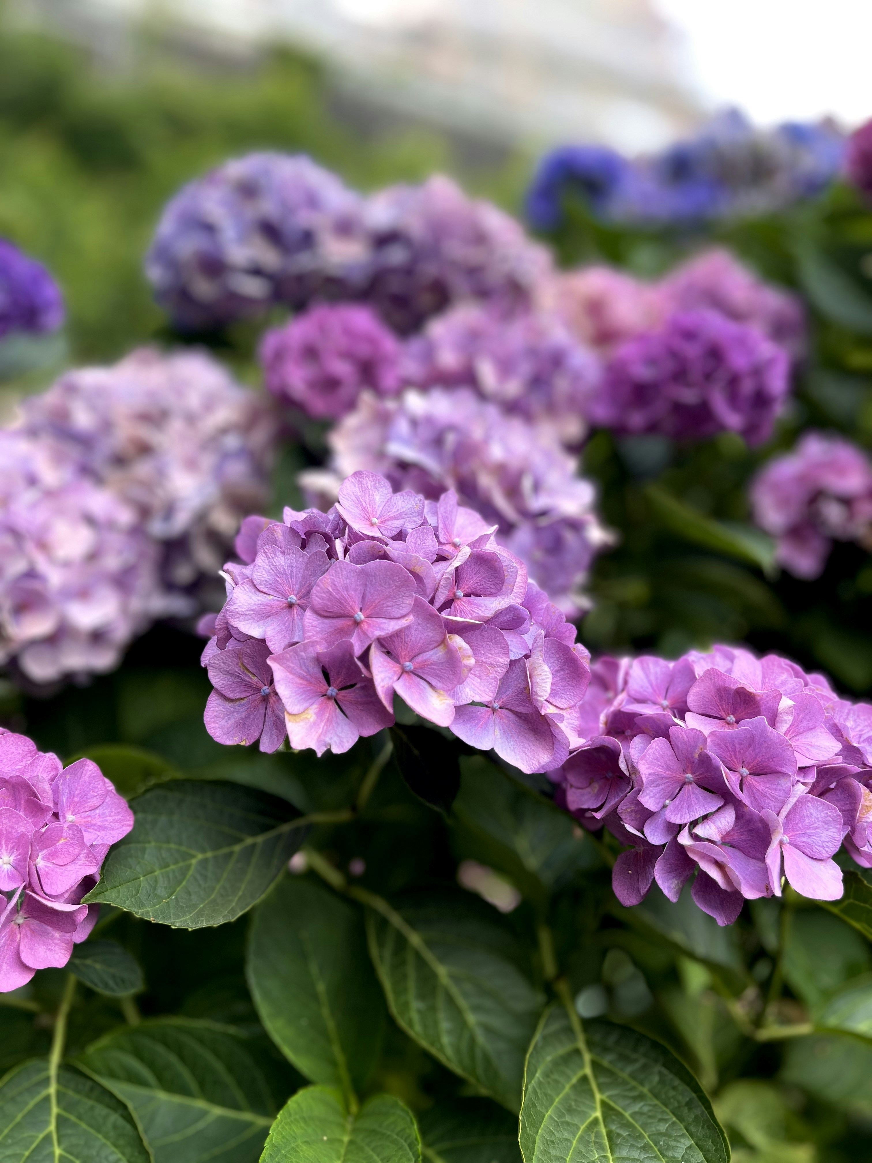 Photo by kim_riverskirby