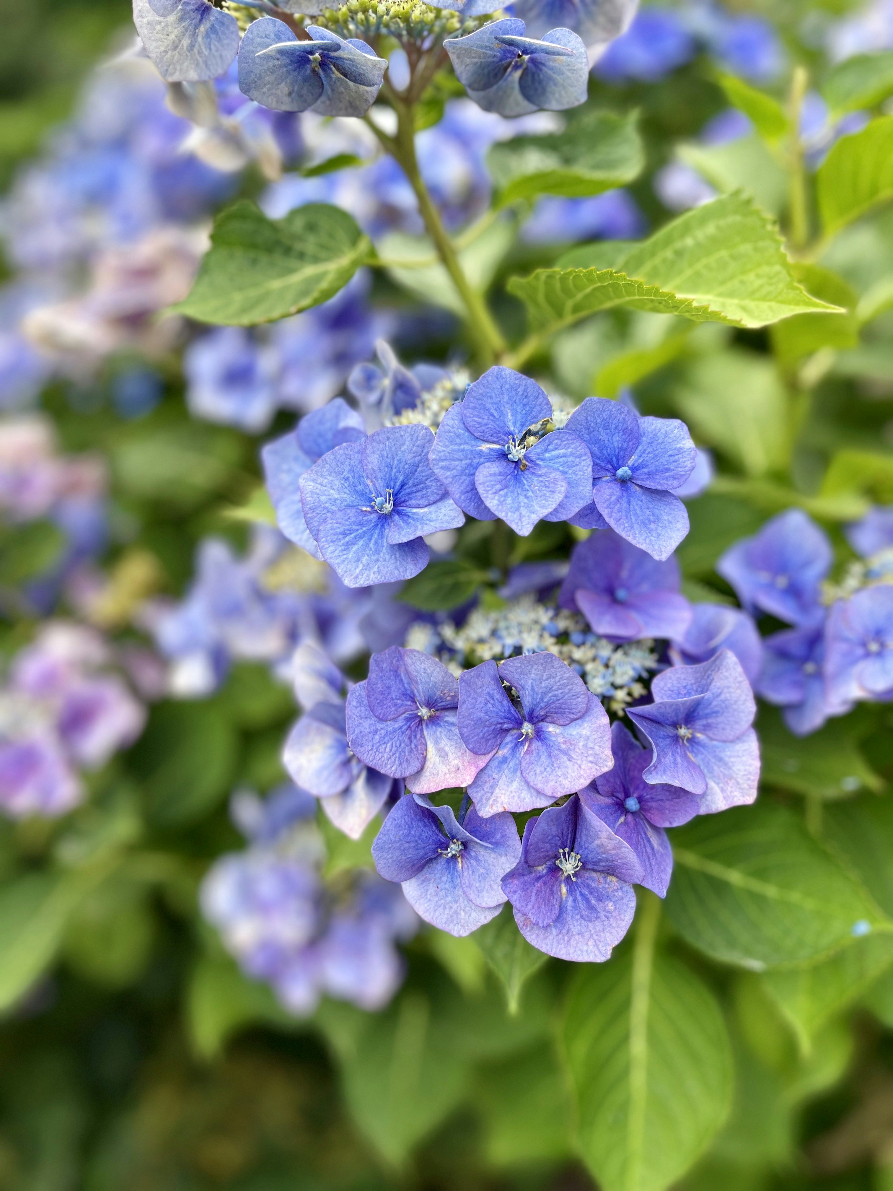 Photo by kim_riverskirby