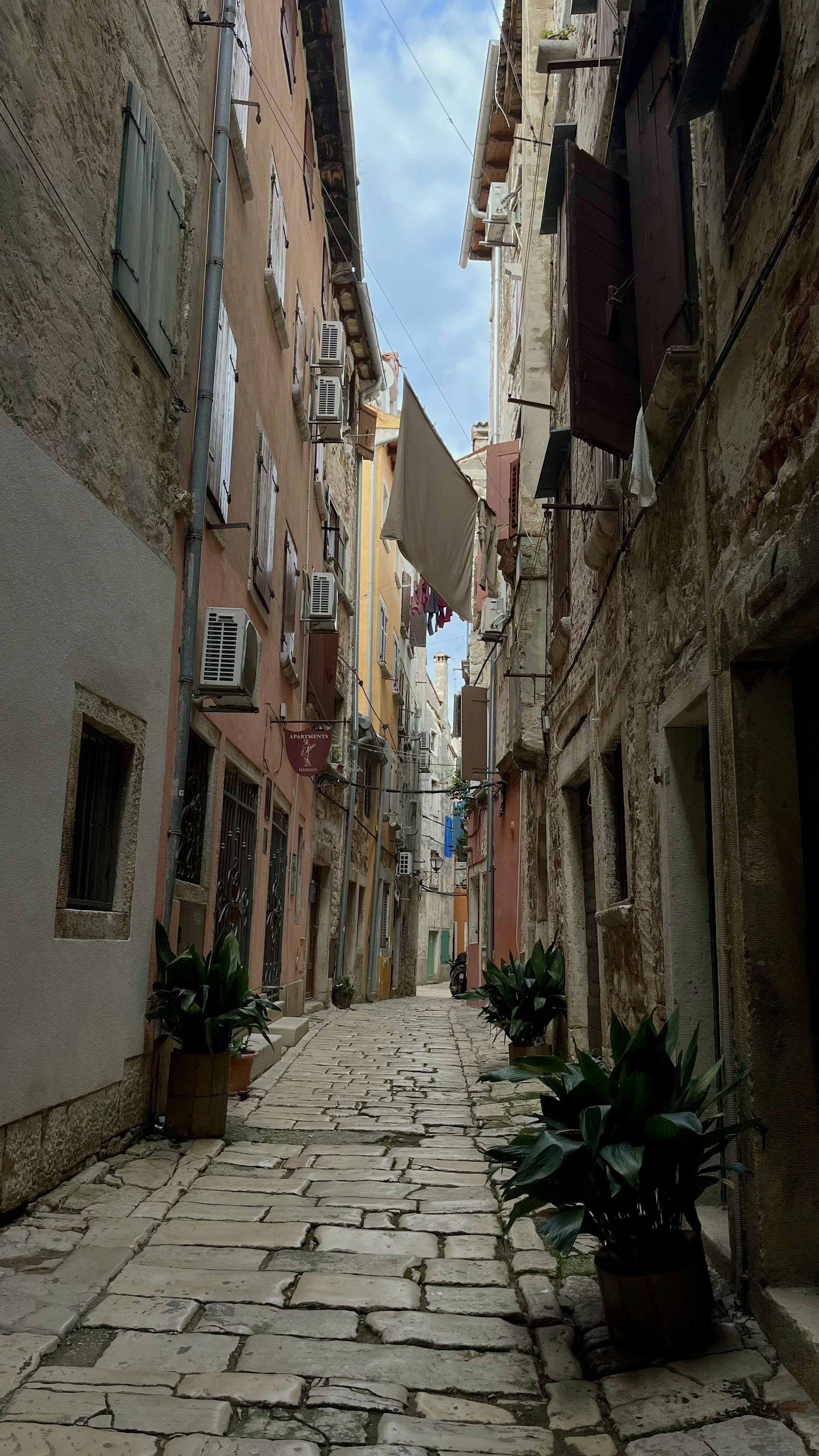 Photo by kim_riverskirby