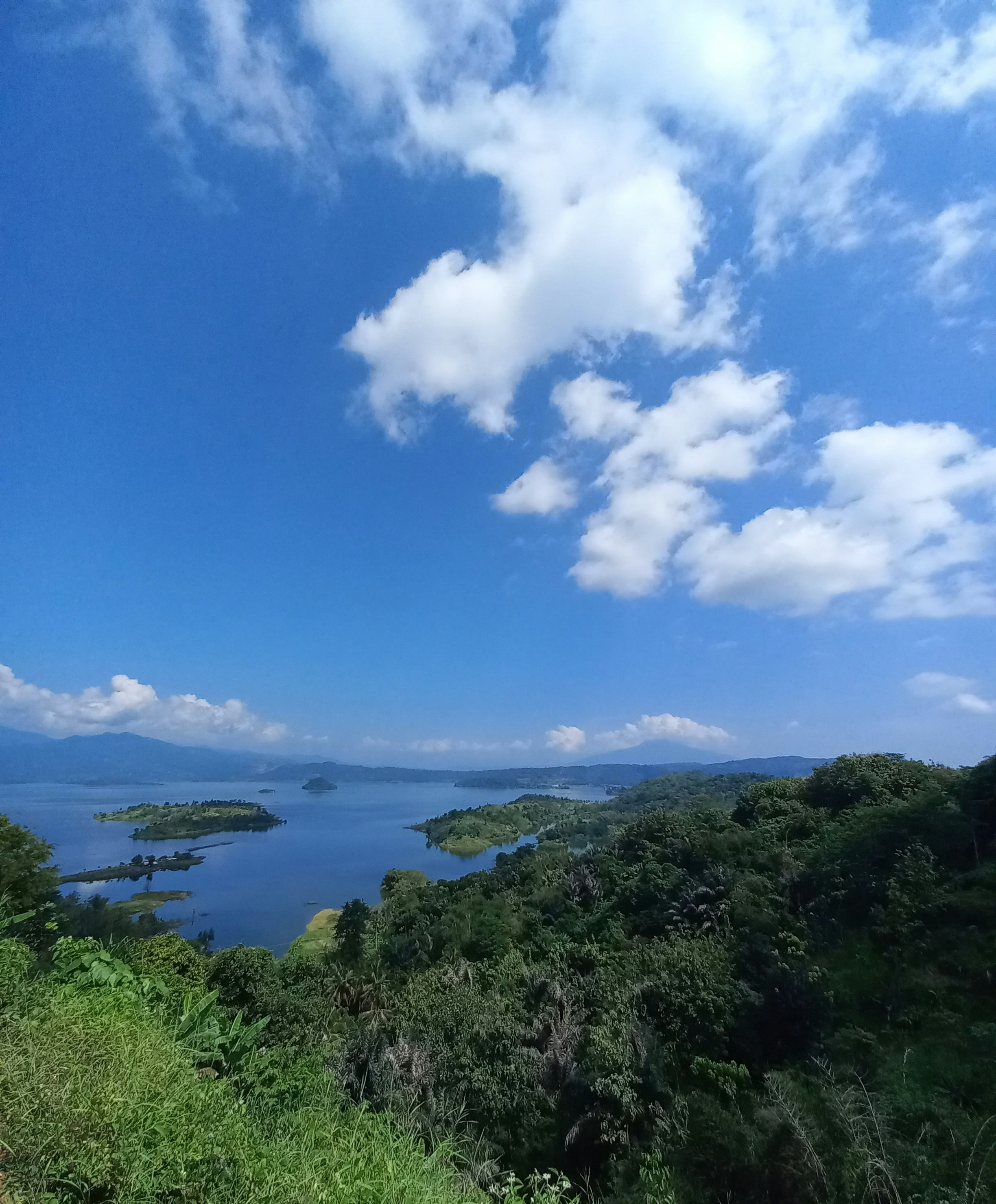 Nokonoshima Island Park photo 3