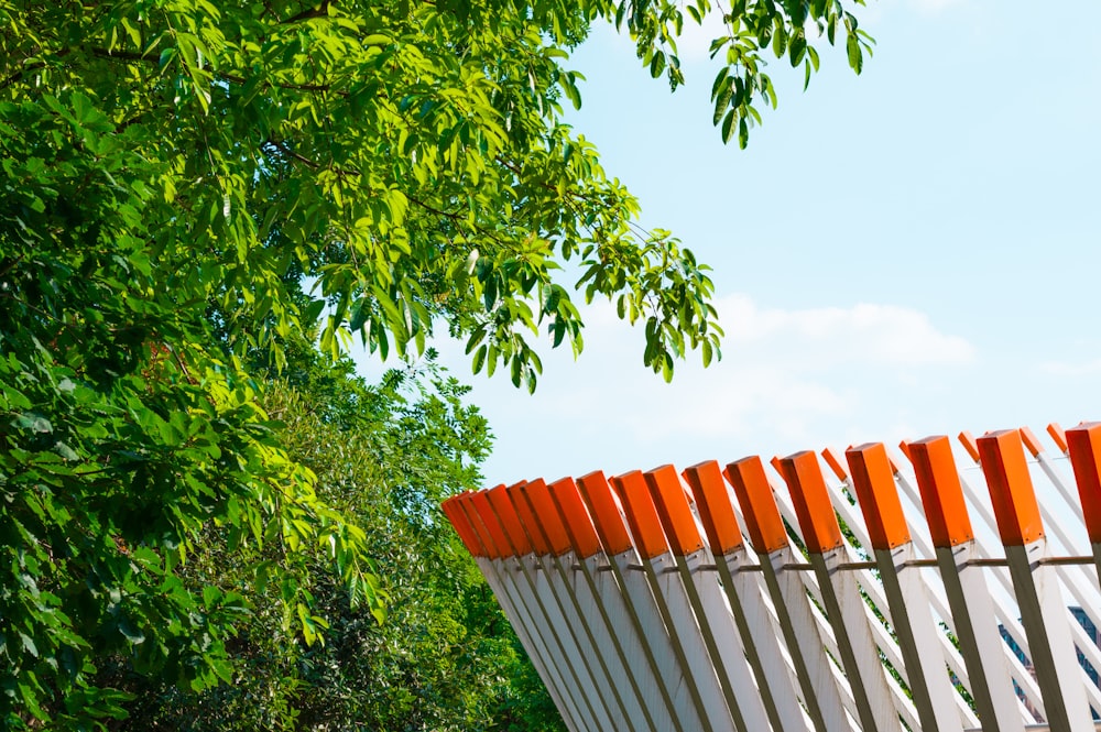 a row of orange and white chairs sitting next to a tree