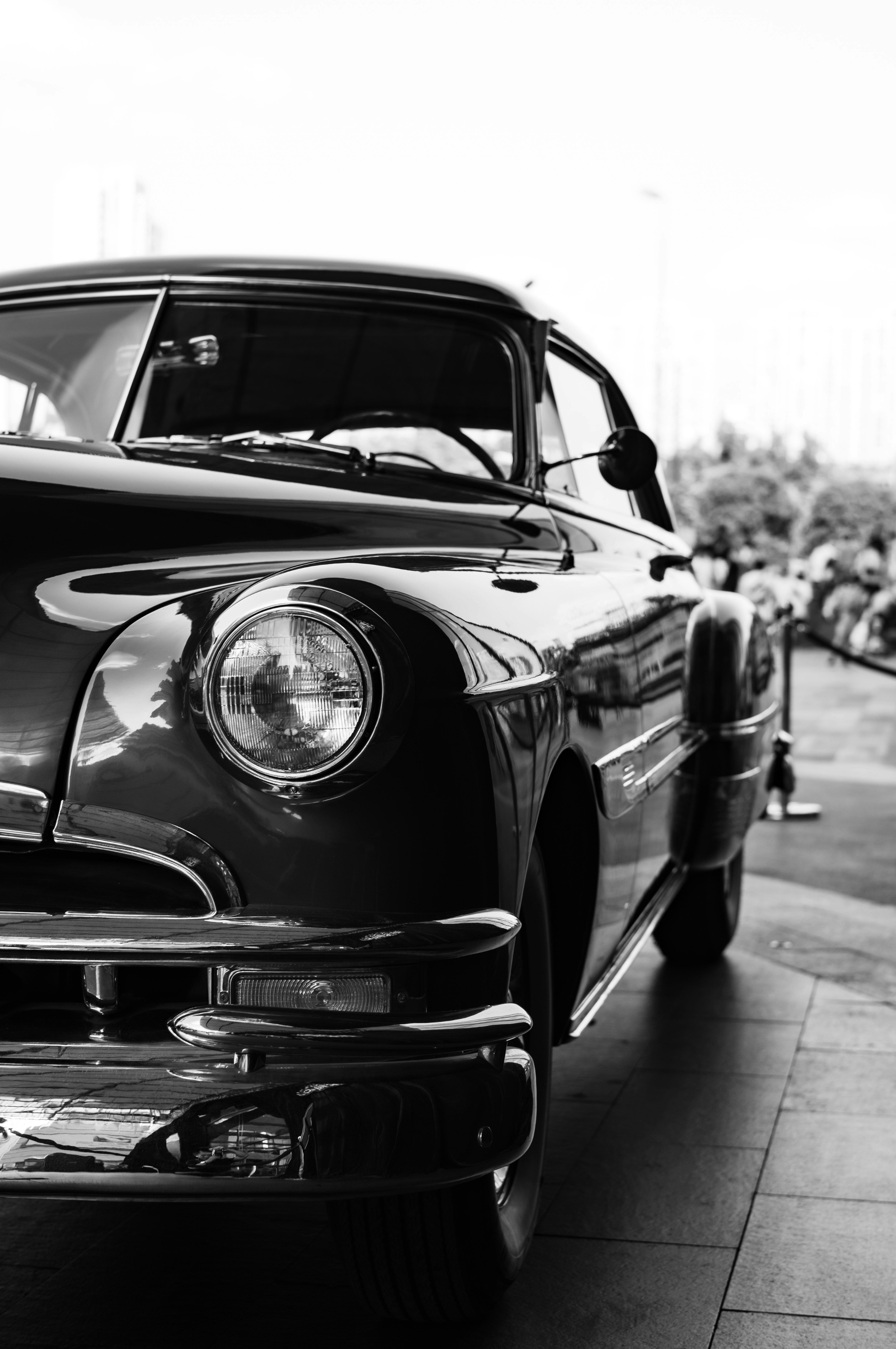 Photo by xingchenyan