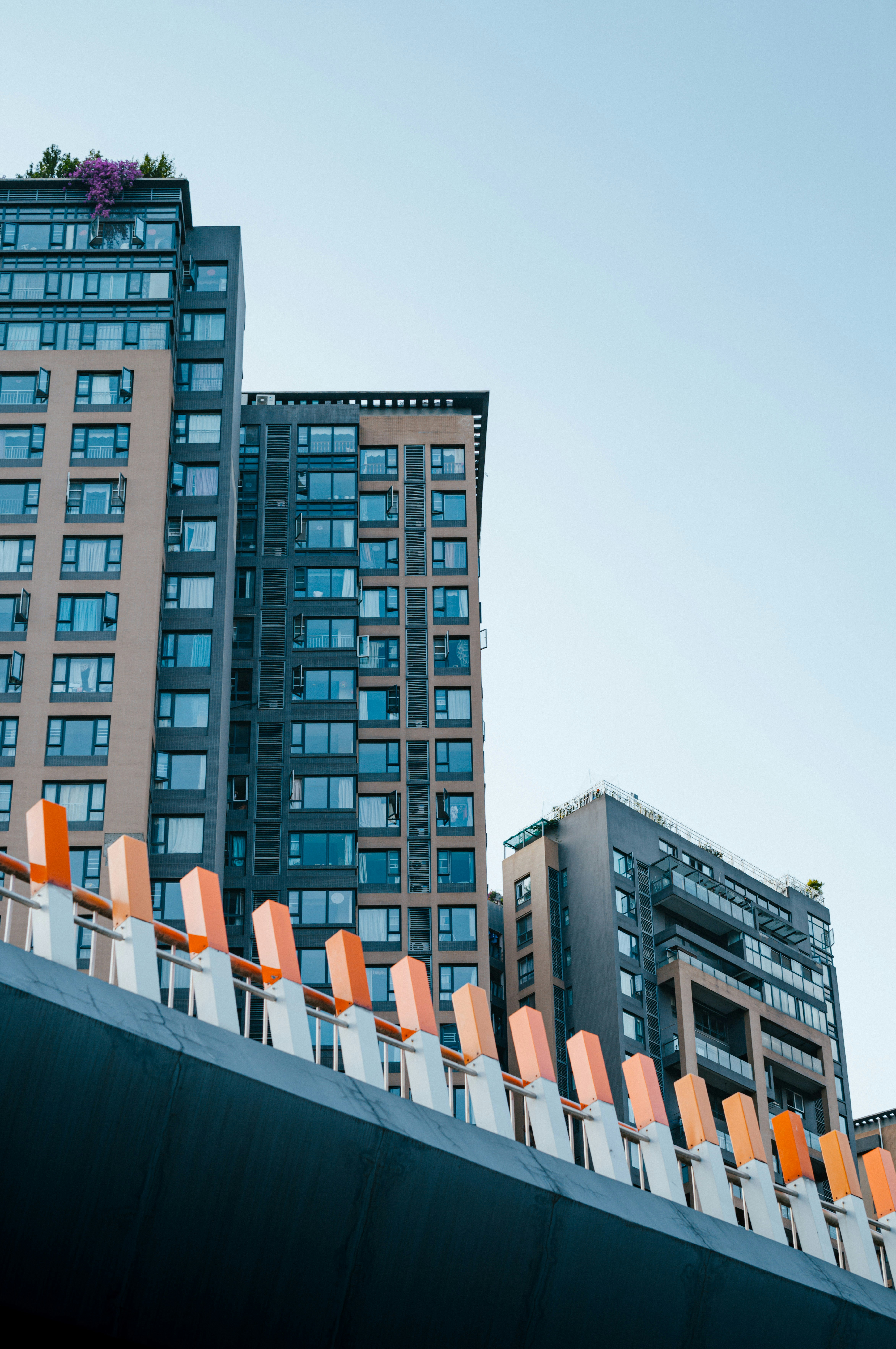 Photo by xingchenyan