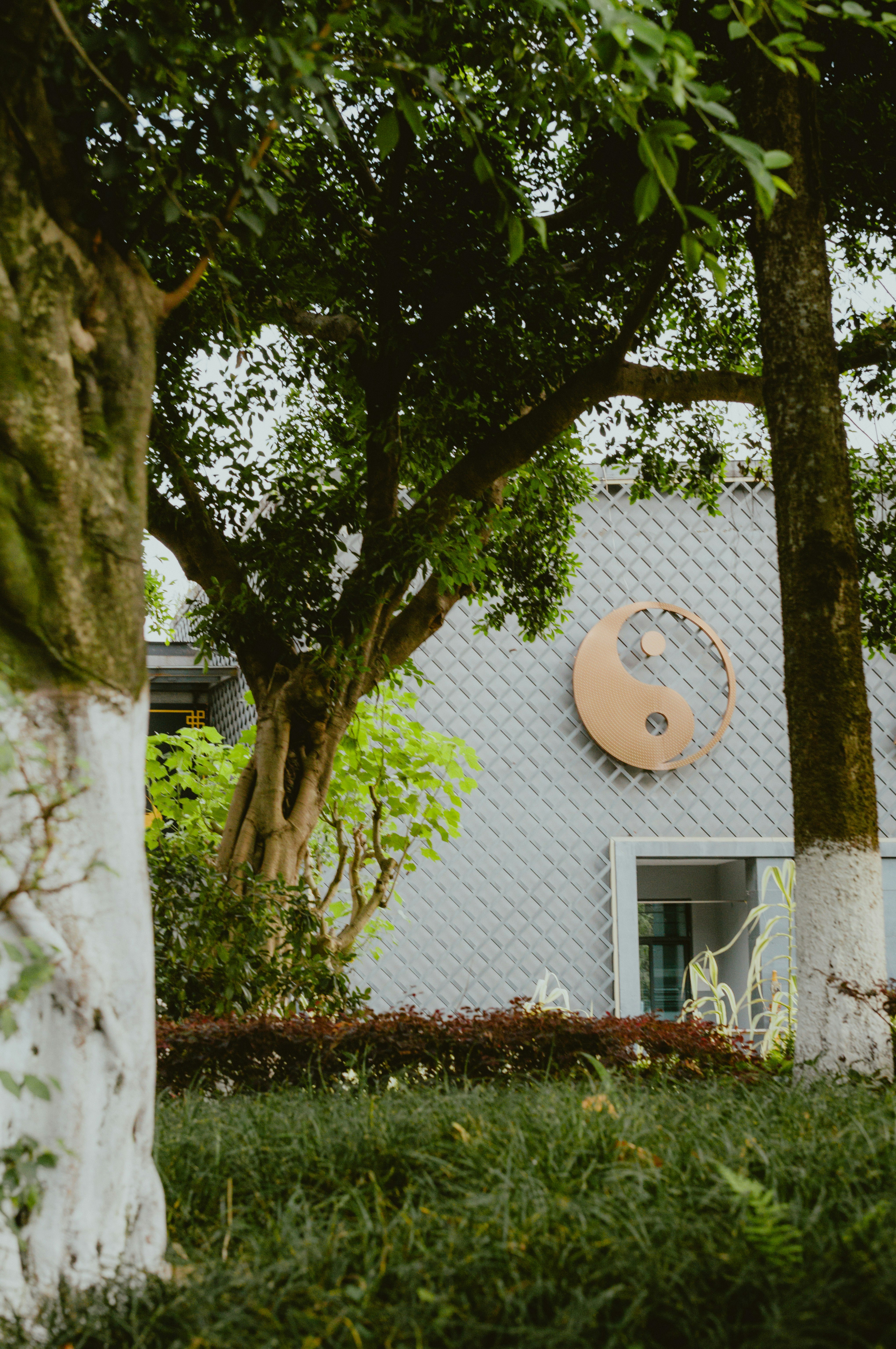 Clase de Taichí en el parque