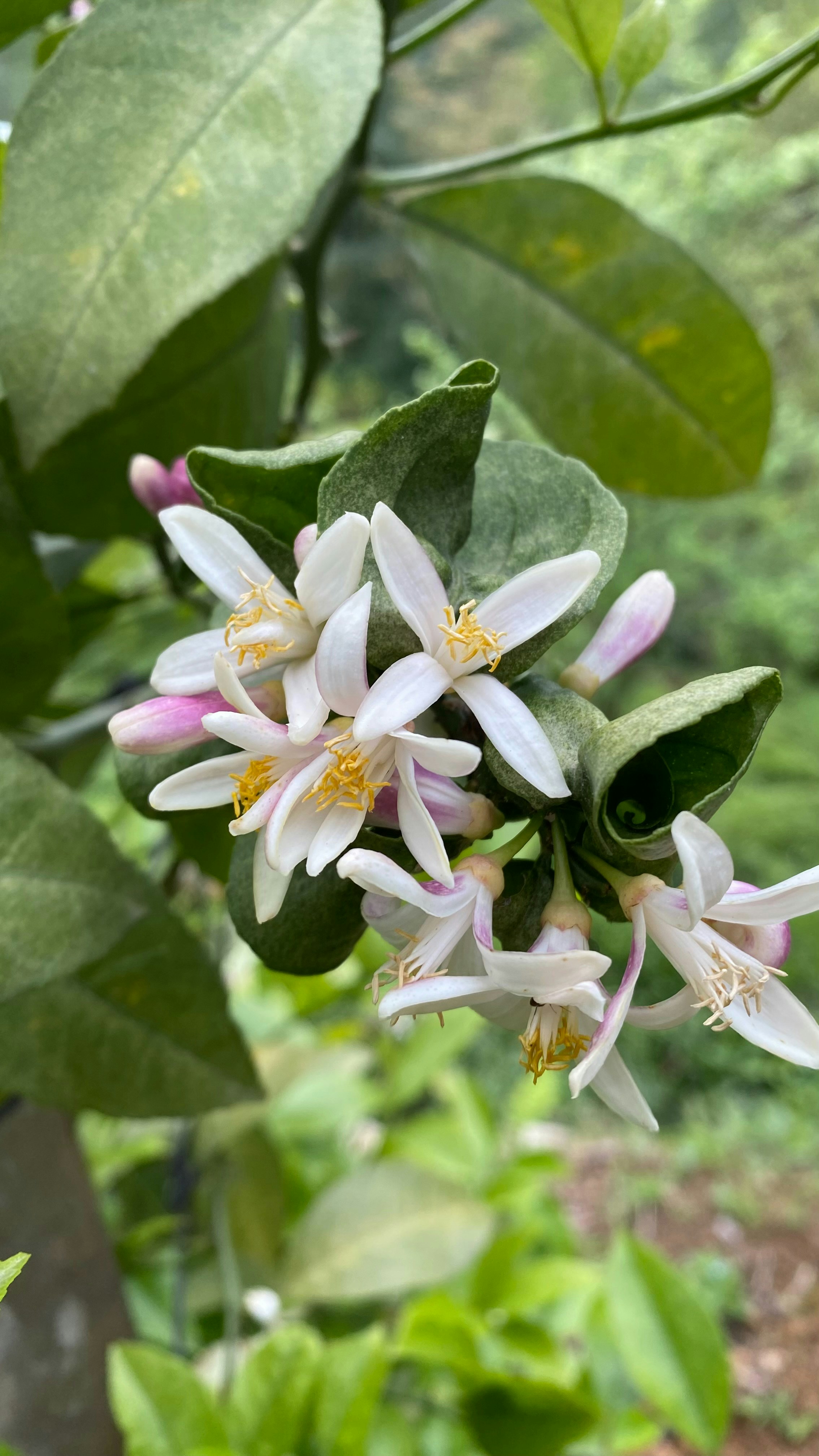 Photo by thallasophile