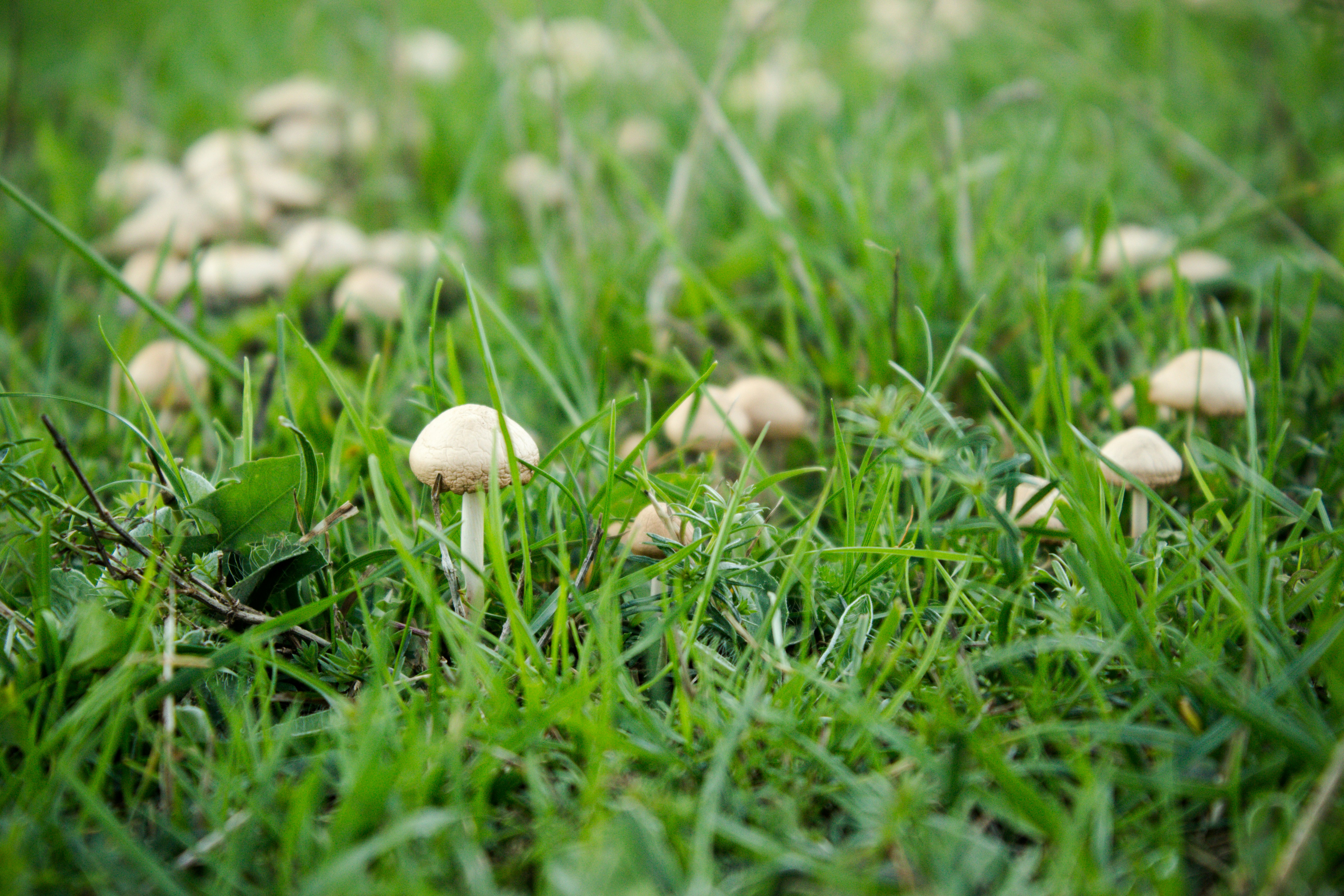 Photo by viktorsmoliak