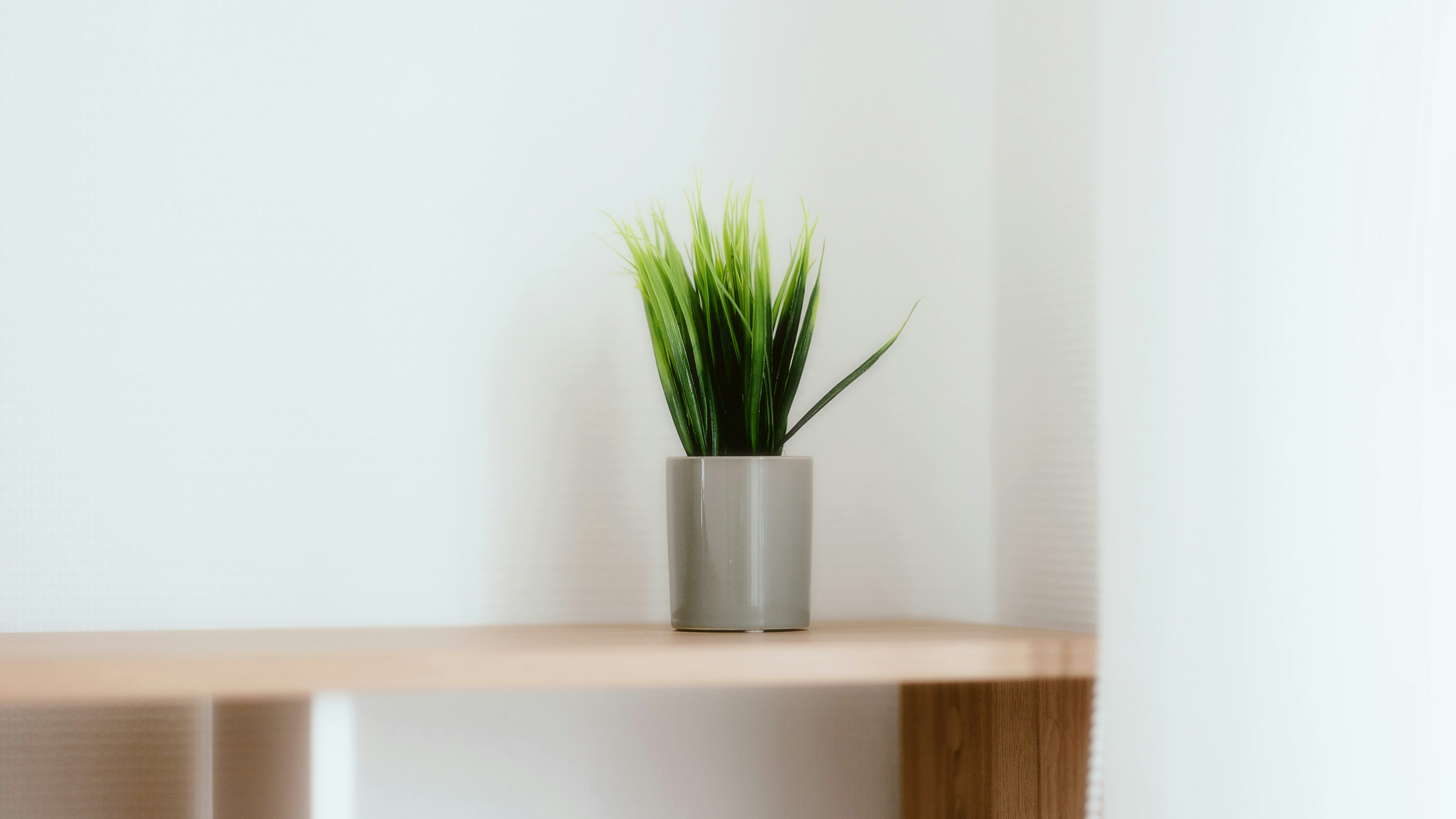 Photo by alingavriliuc