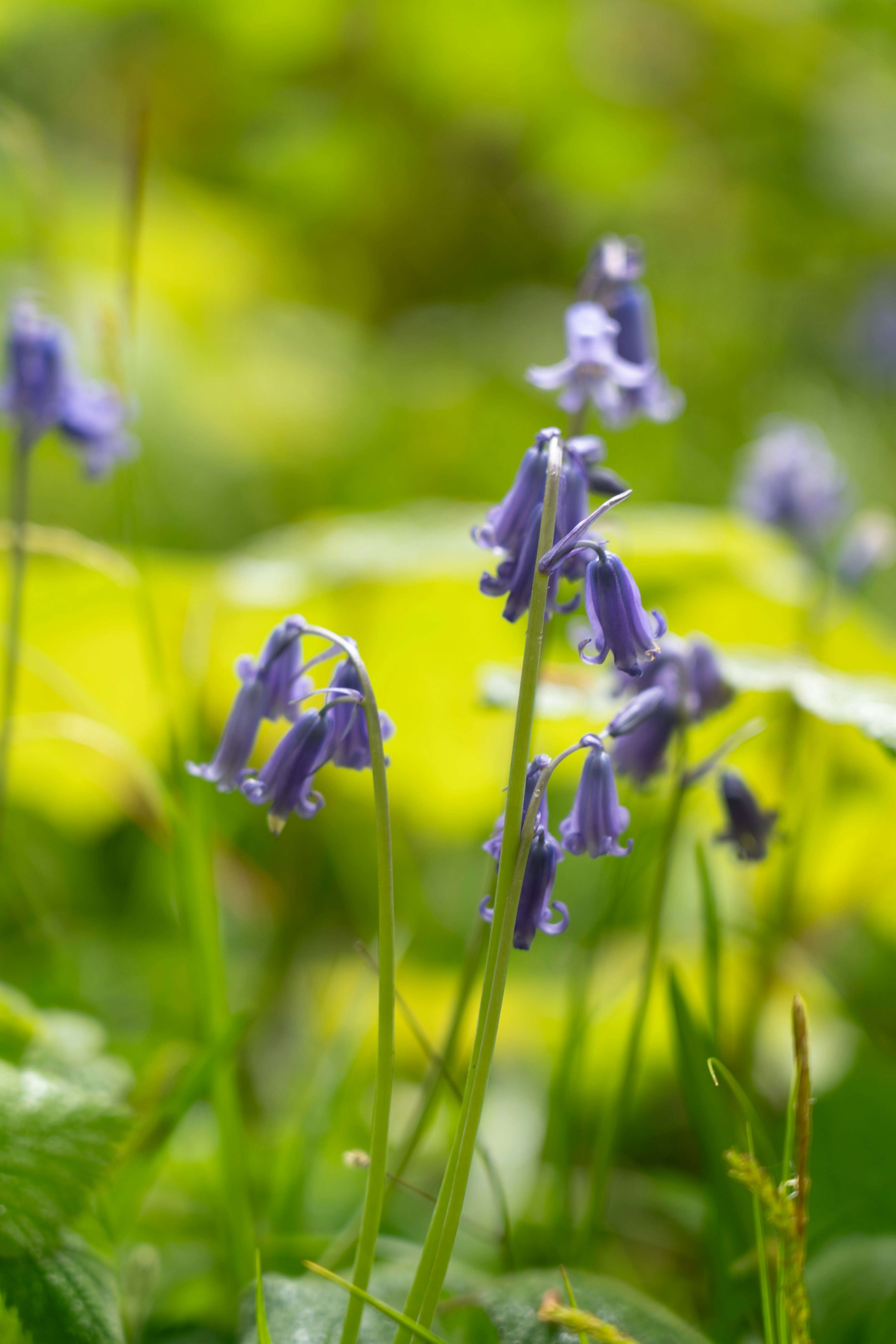 Photo by samabbott_photography