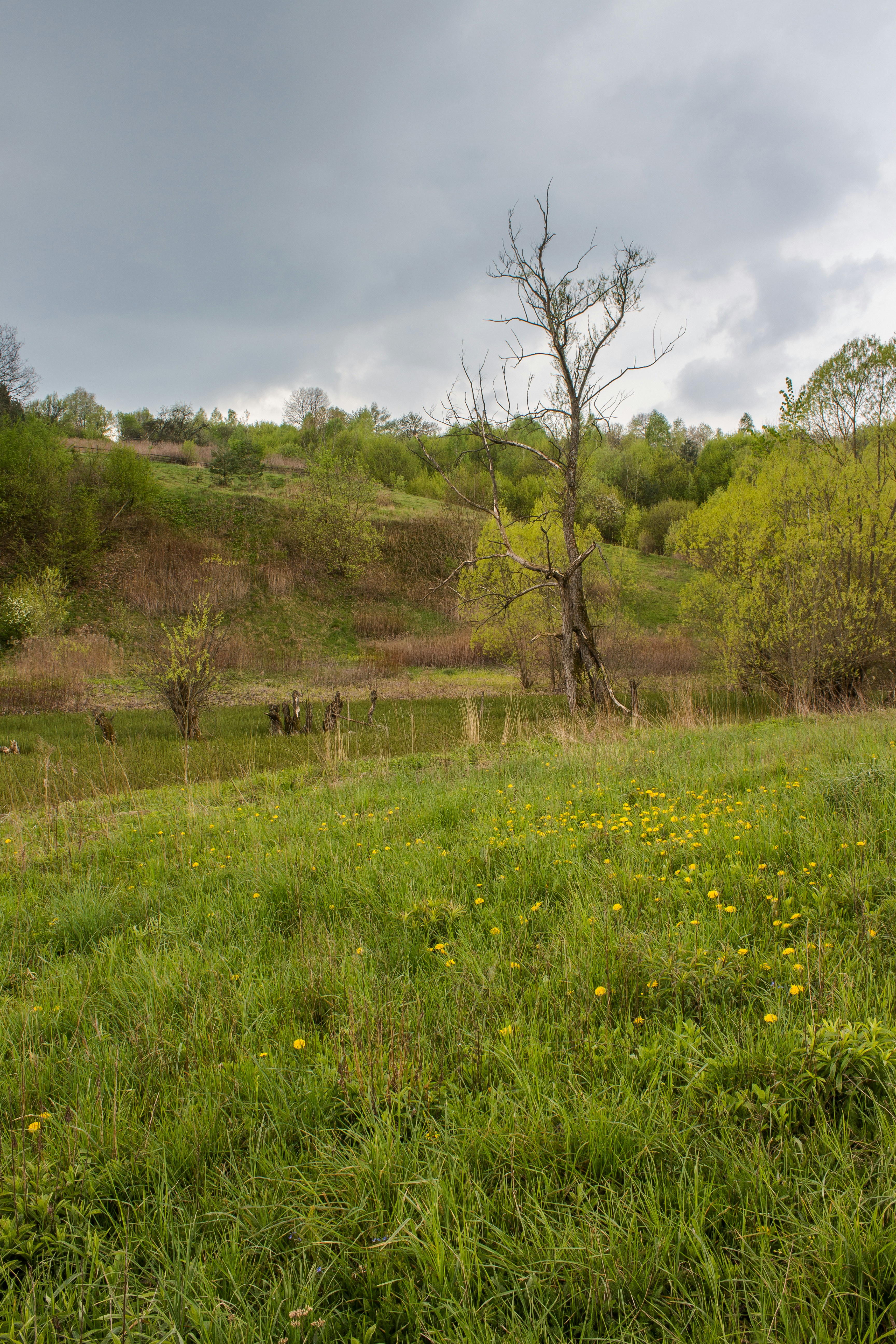 Photo by viktorsmoliak