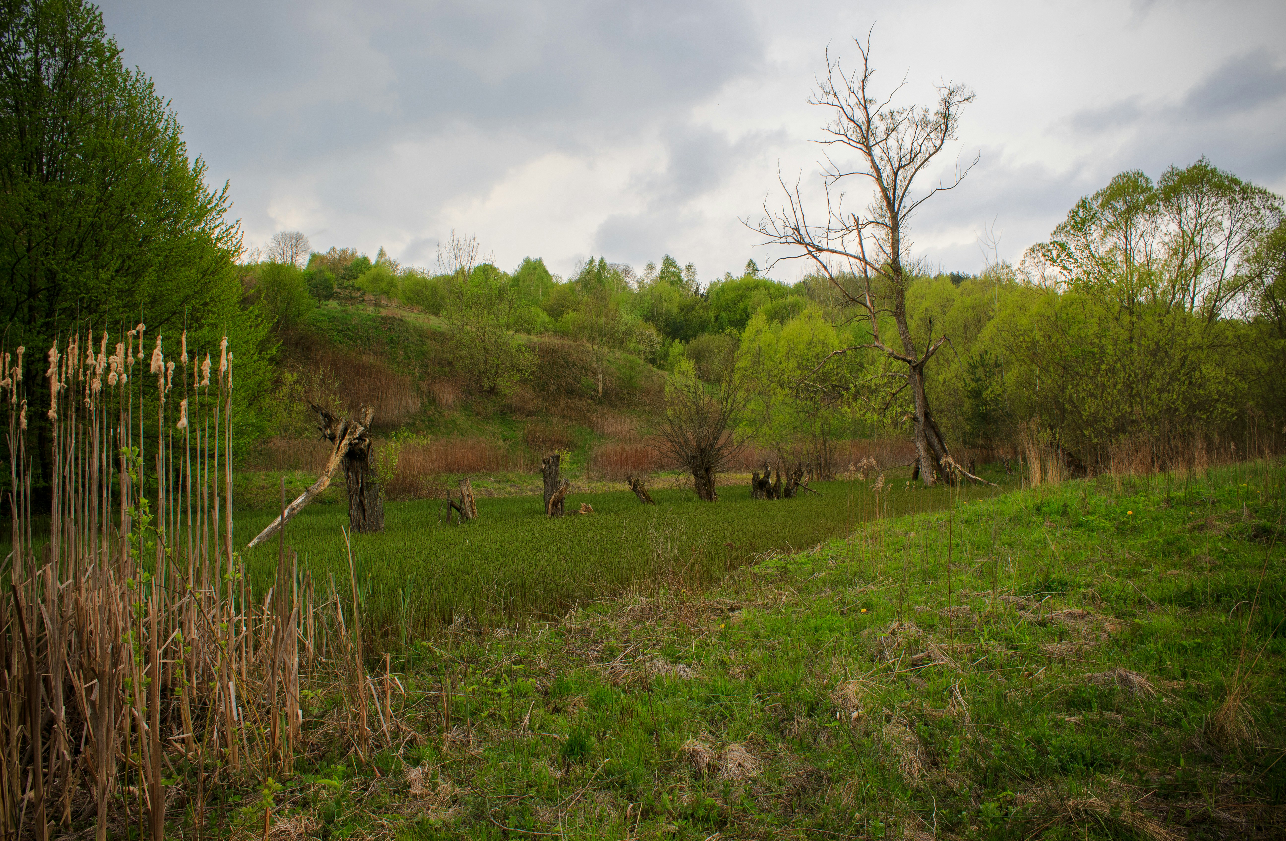 Photo by viktorsmoliak