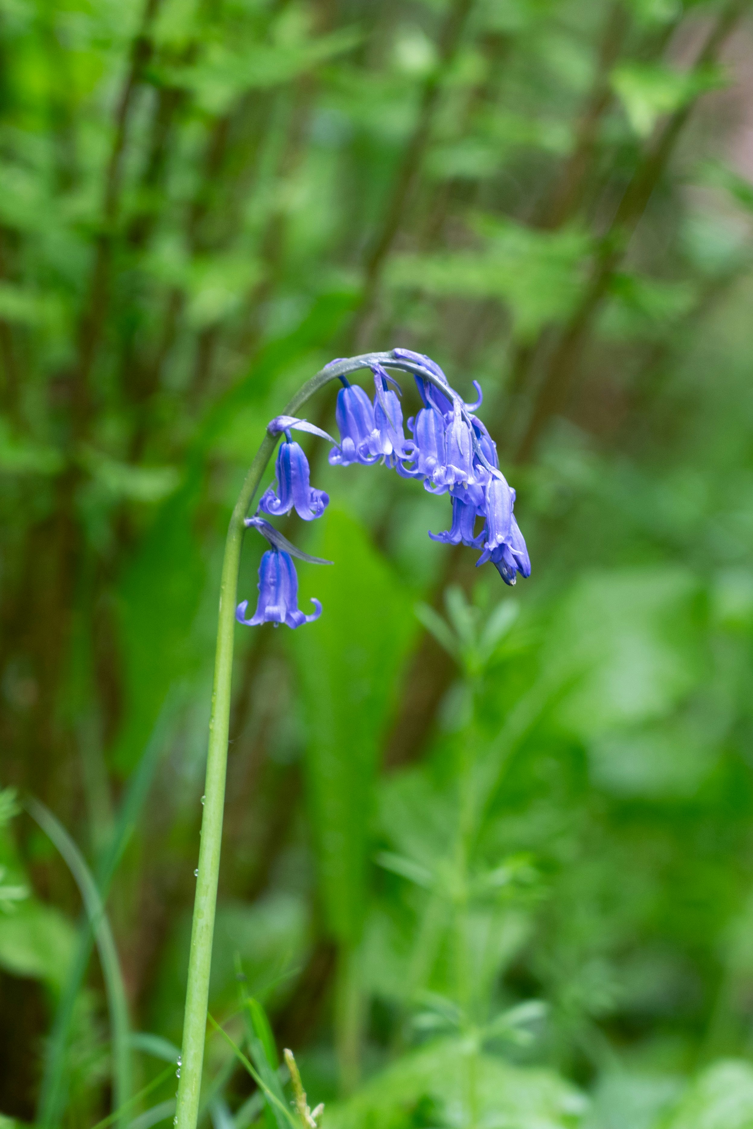 Photo by samabbott_photography