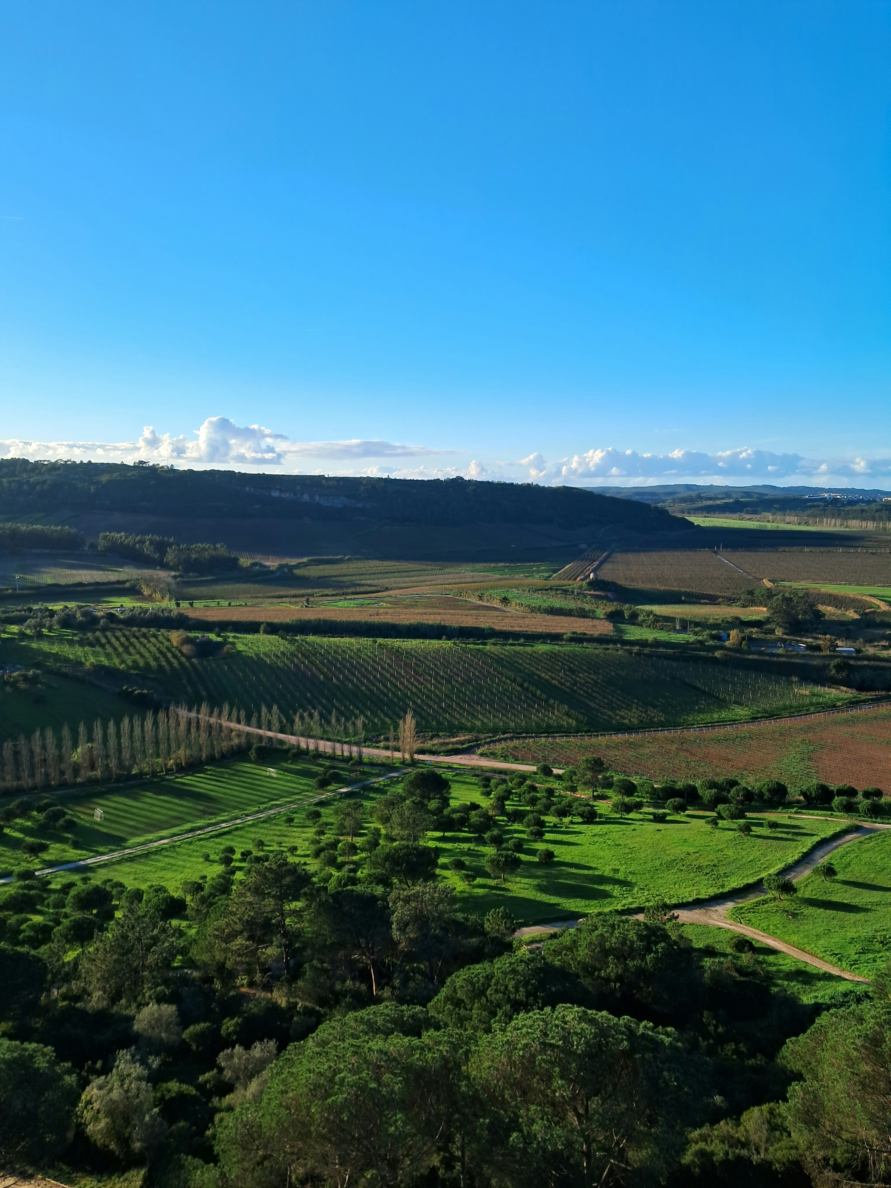 Una vista aérea de un exuberante campo verde