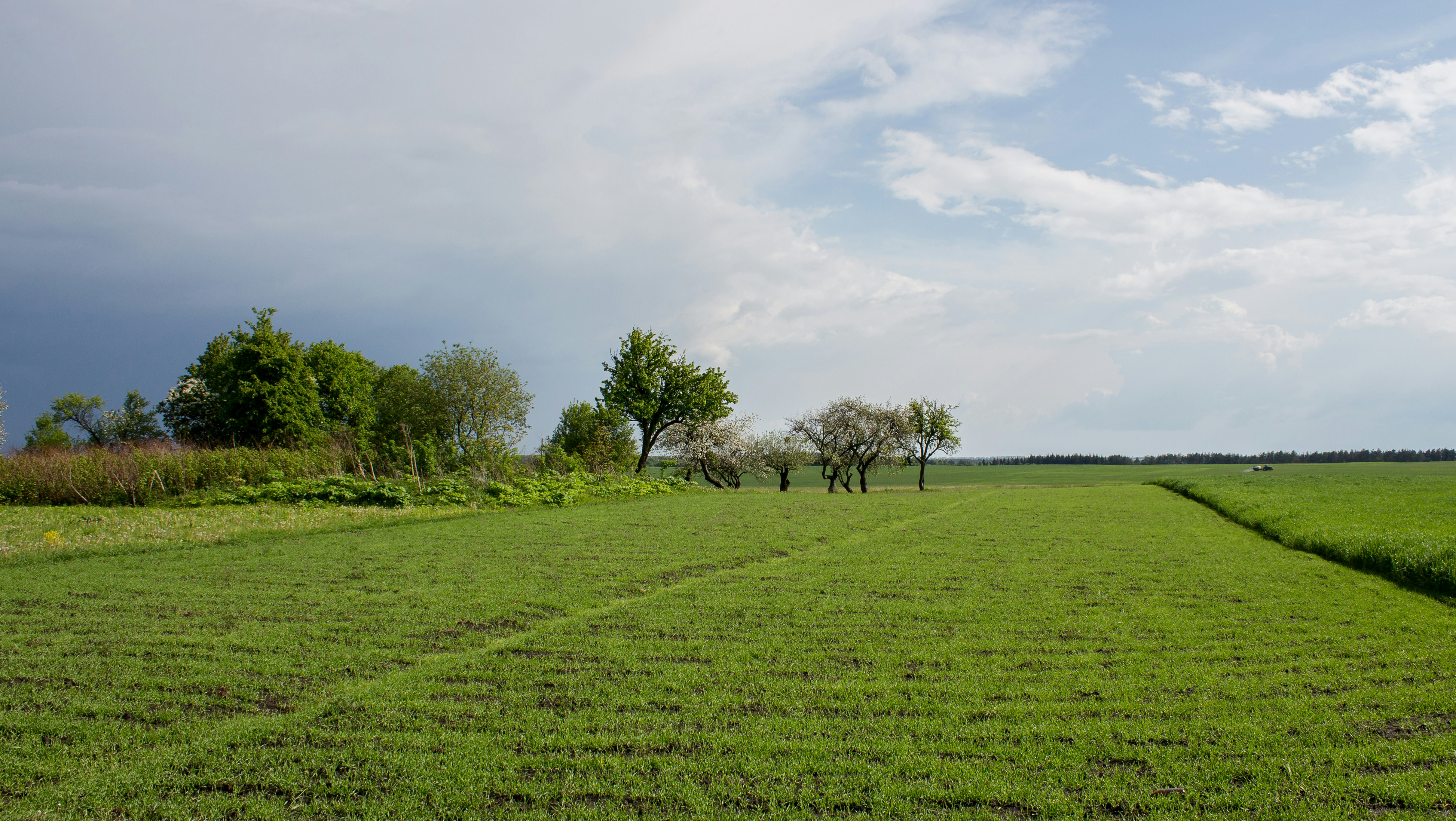 Photo by viktorsmoliak