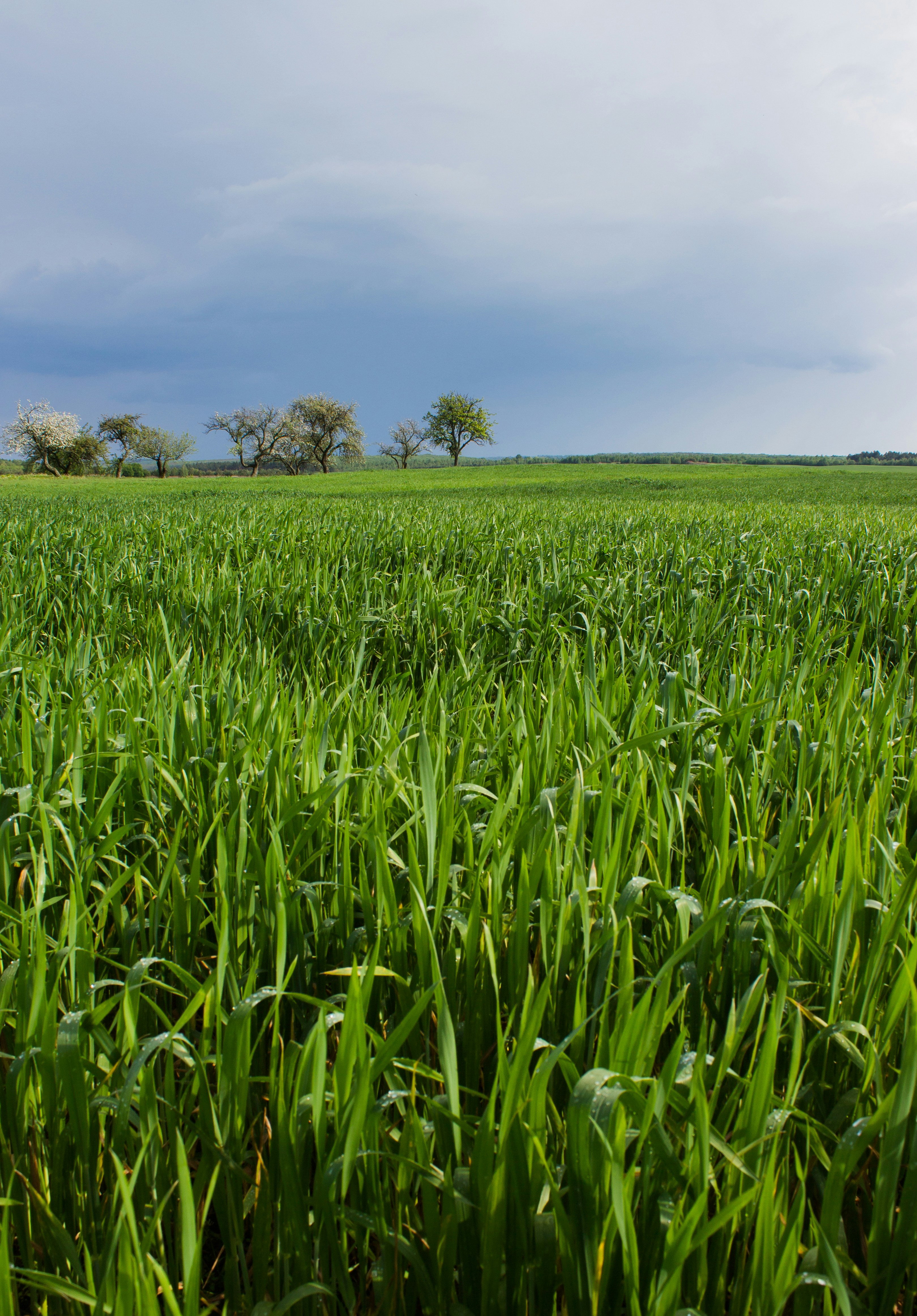 Photo by viktorsmoliak