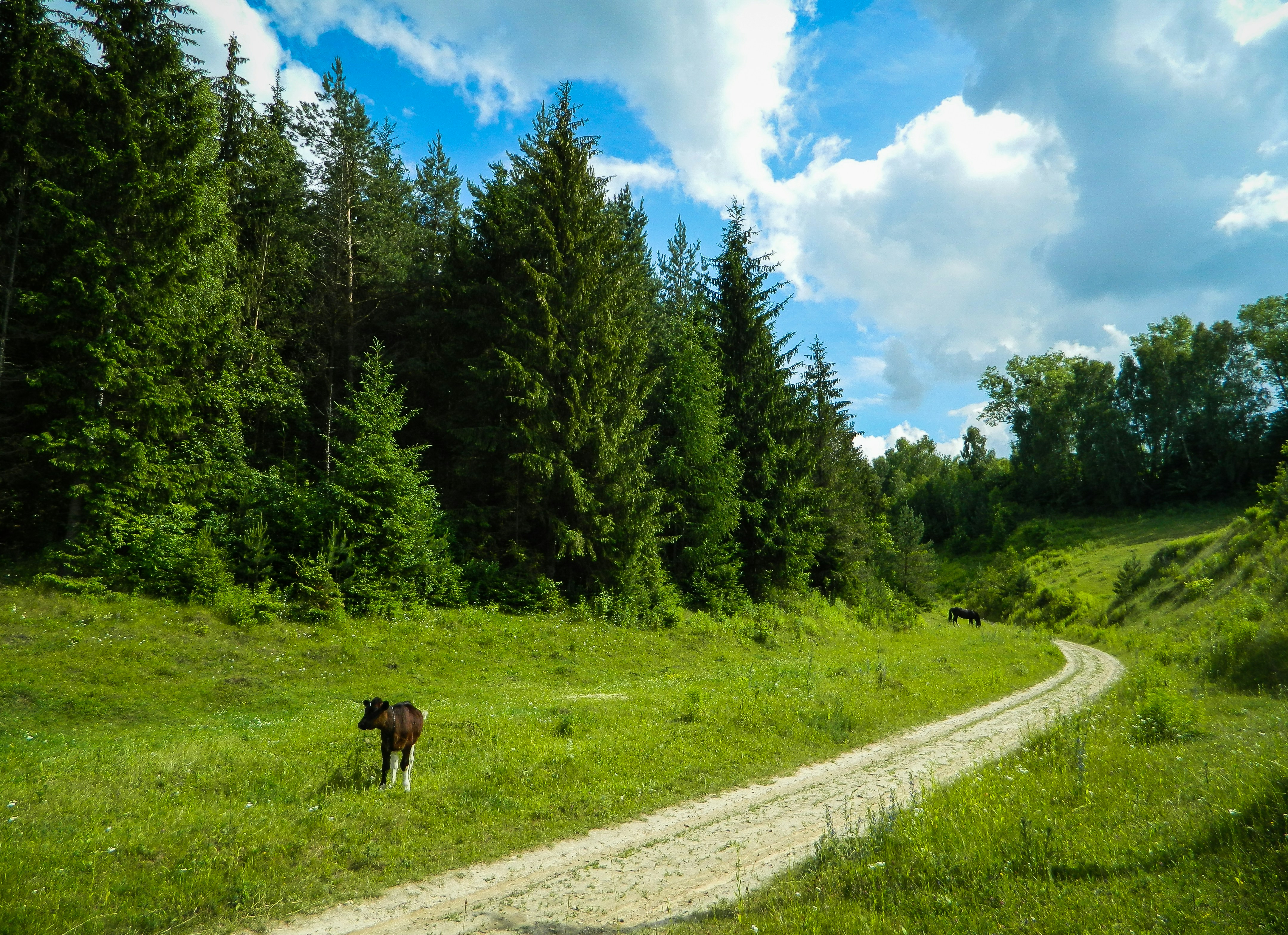 Photo by viktorsmoliak