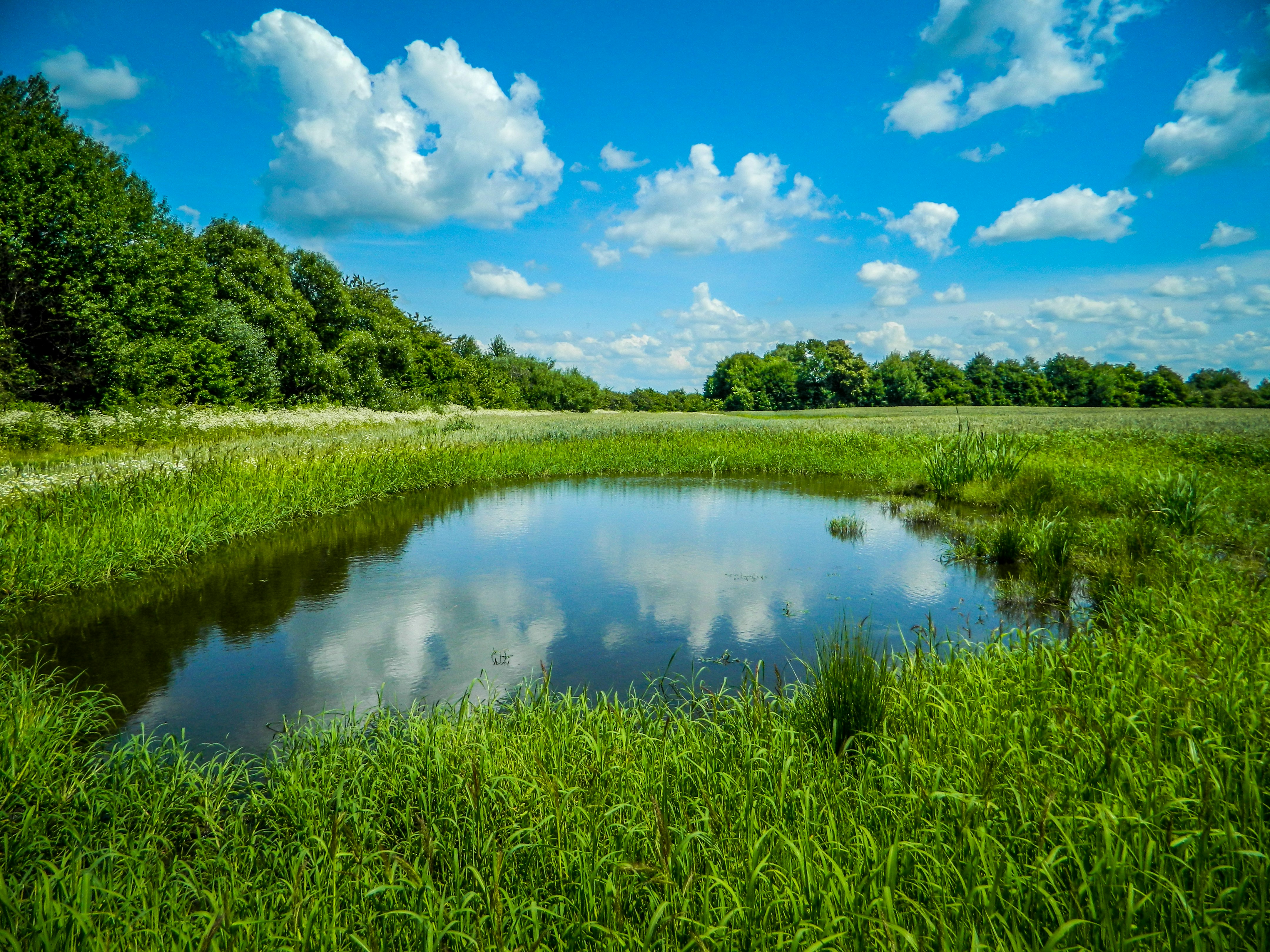 Photo by viktorsmoliak