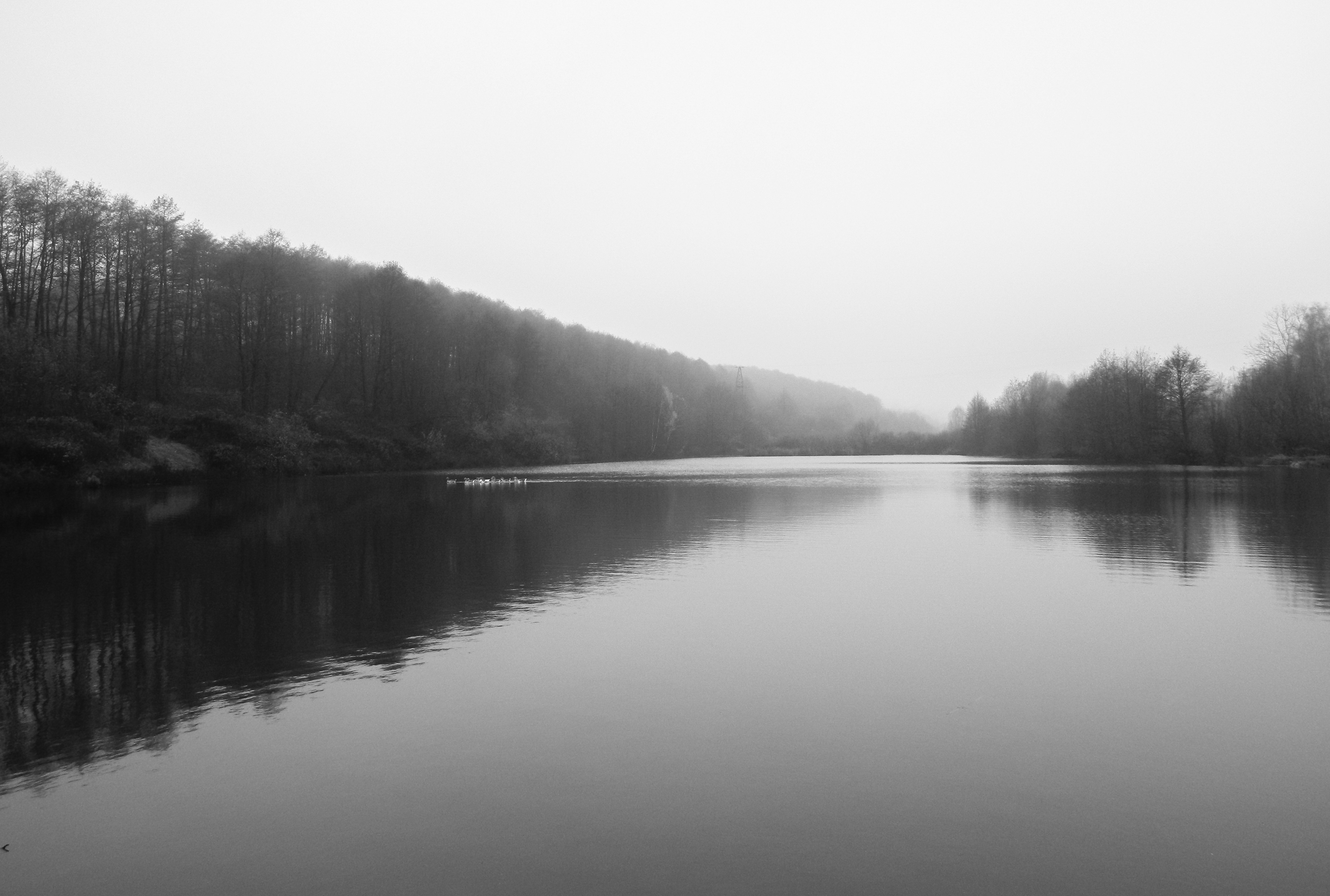 Photo by viktorsmoliak