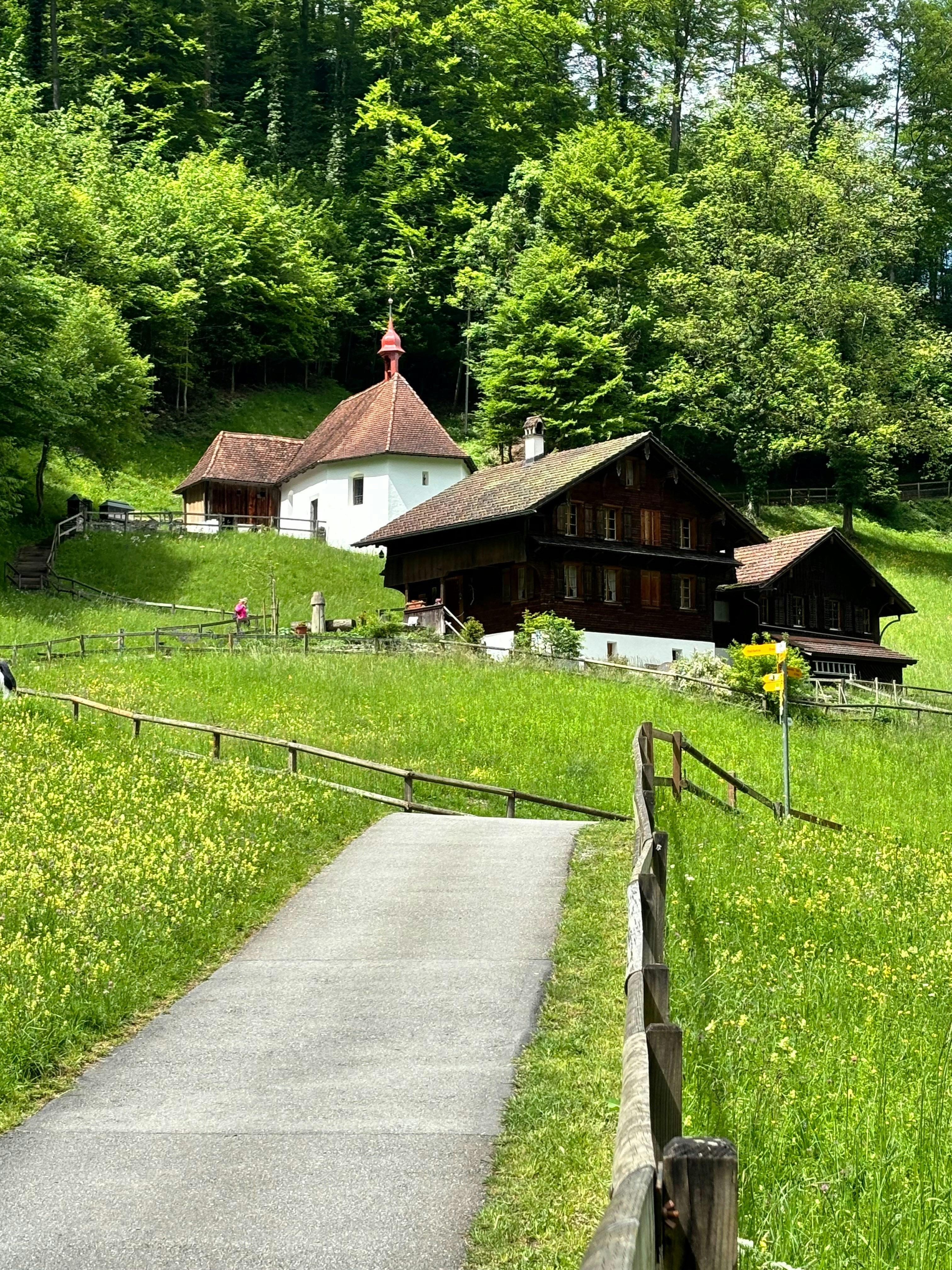 a wooden house sitting on top of a lush green hillside