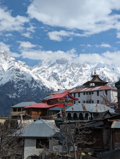 a view of a town with mountains in the background