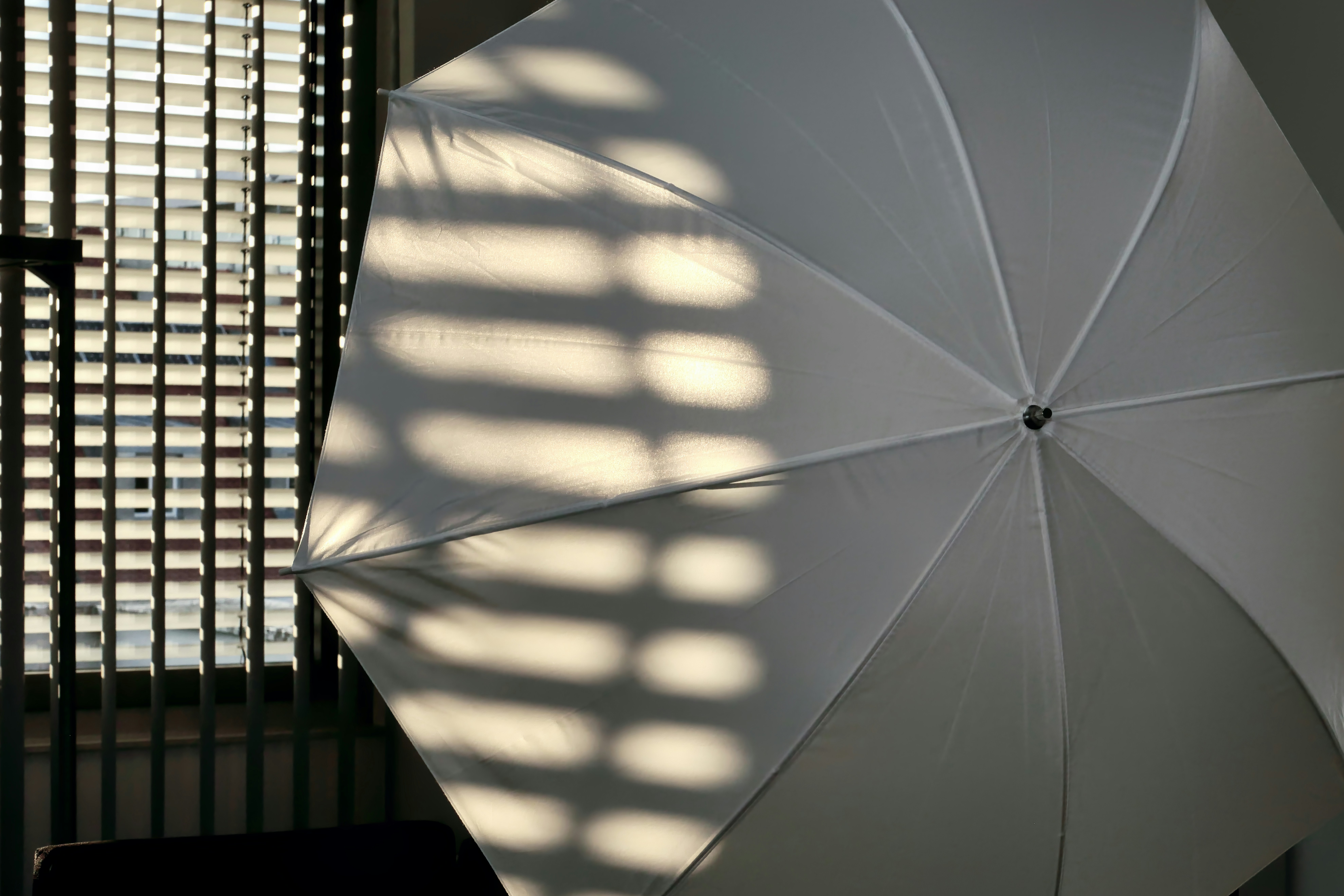 求職形象照拍攝光線解析：單燈雙燈怎麼選，讓你的專業證件照一眼吸睛！：本文實用建議摘要