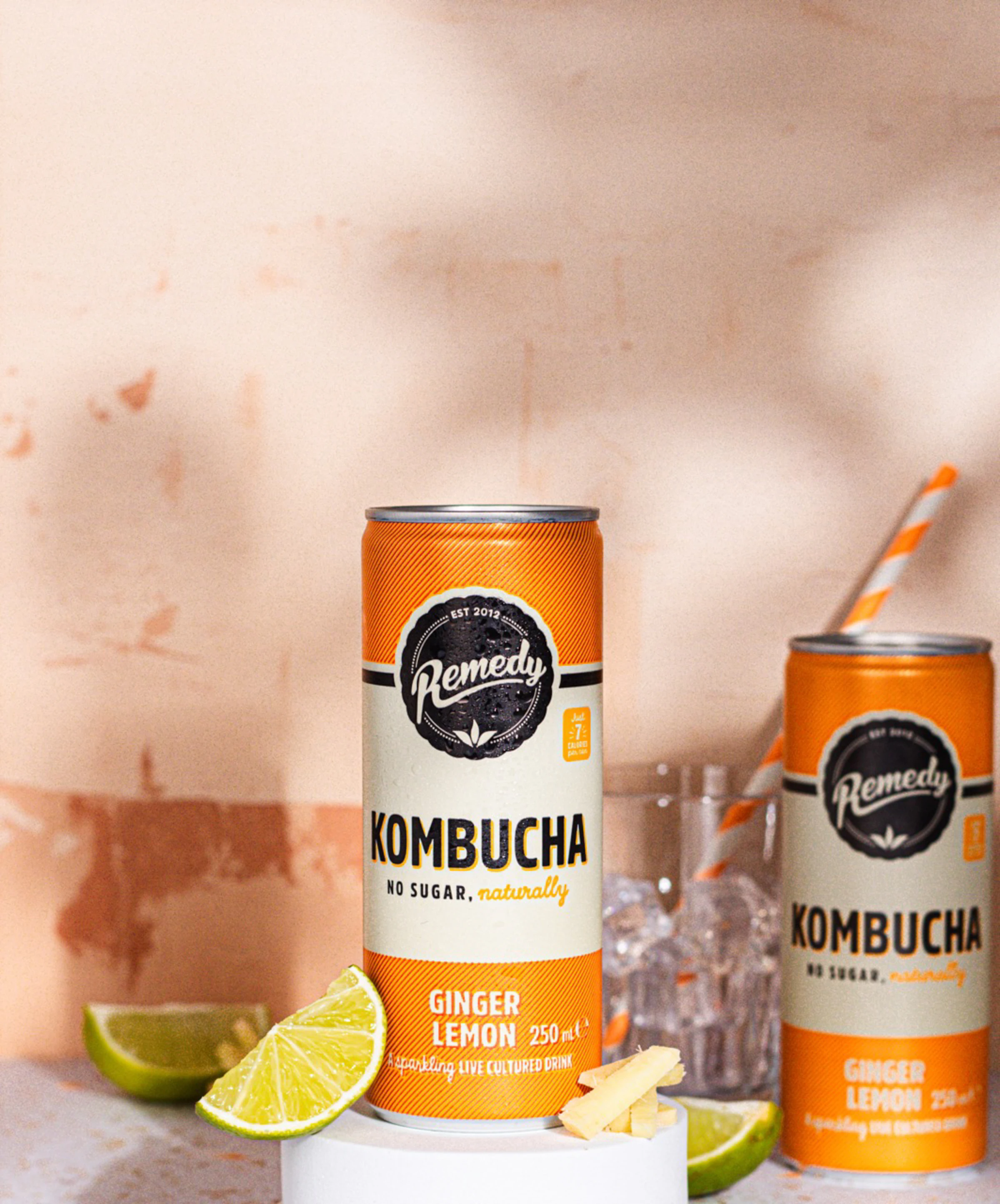 Can of kombucha next to a can of ginger lemonade on a bright surface