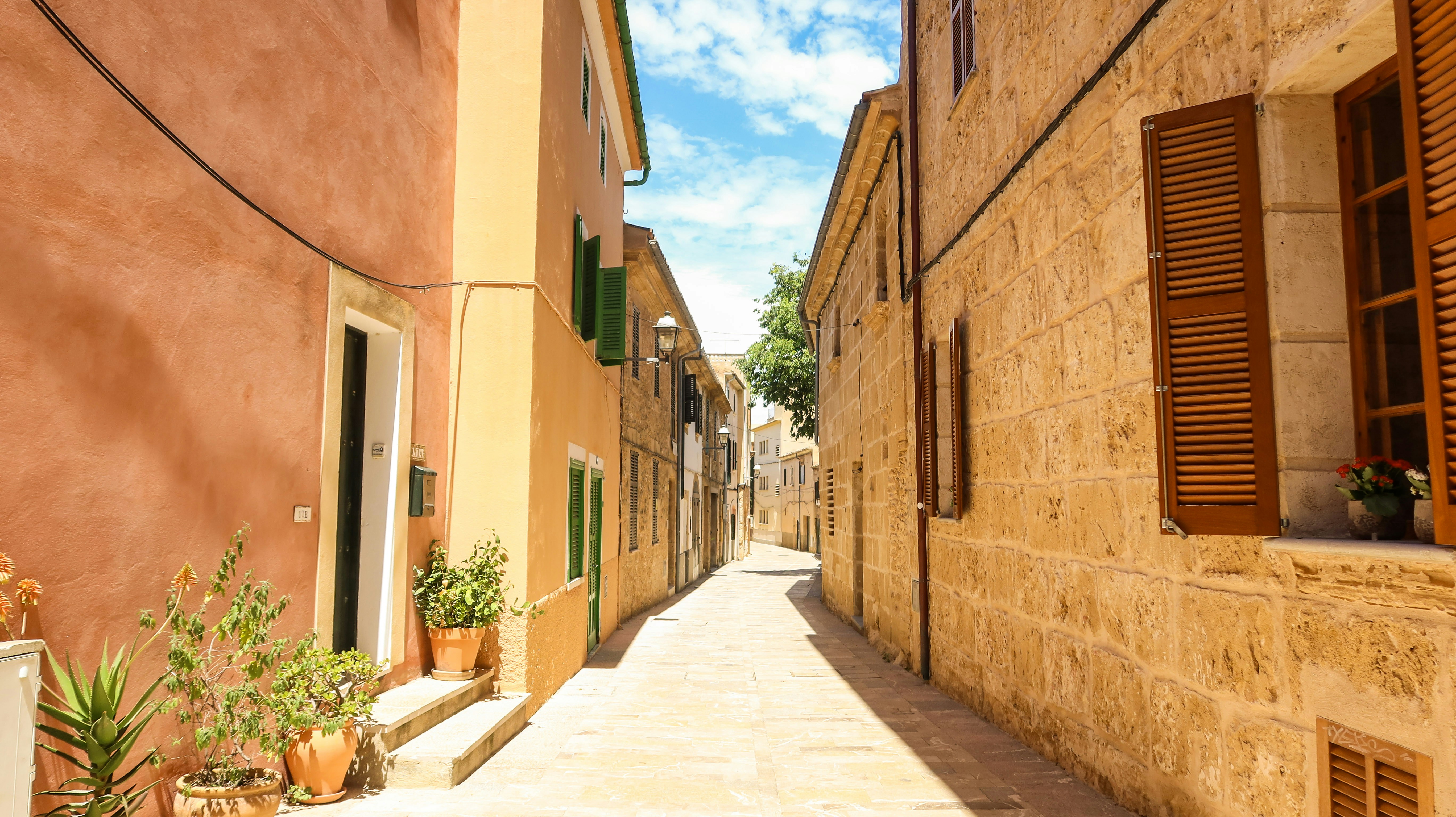 Photo by findingnino22