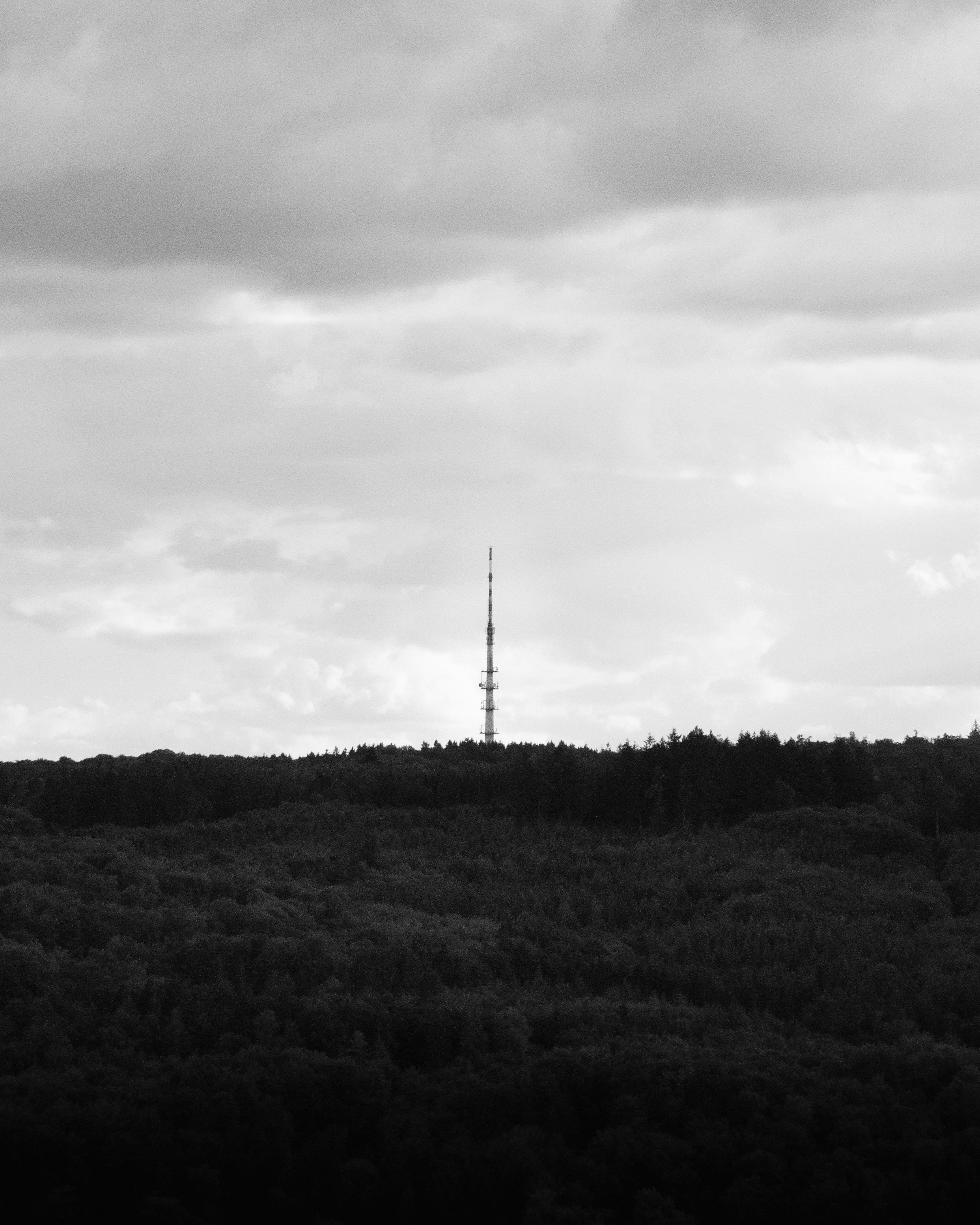 Containers in Petrified Forest Natl Pk, AZ