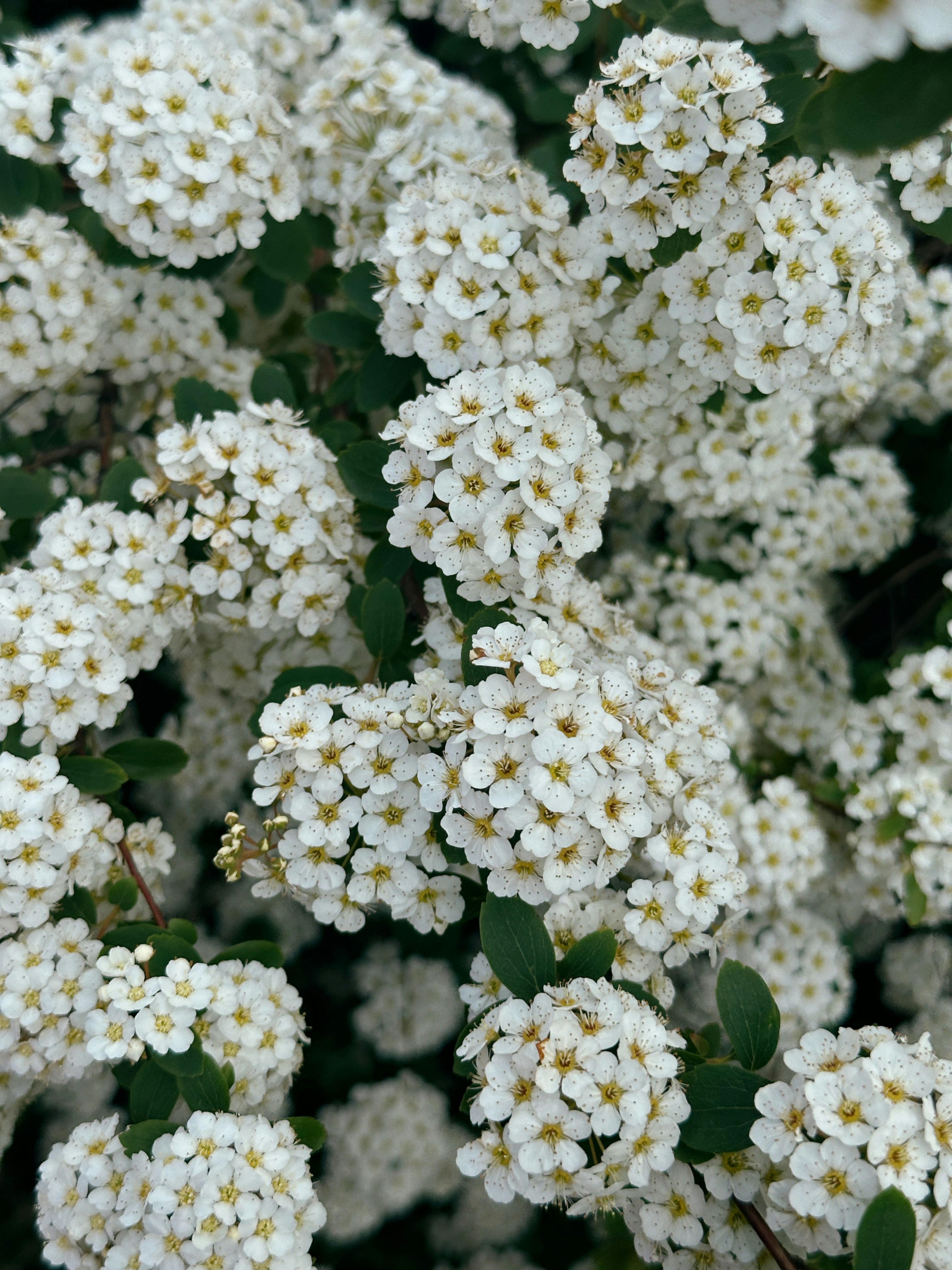 Photo by tatiannavoiset