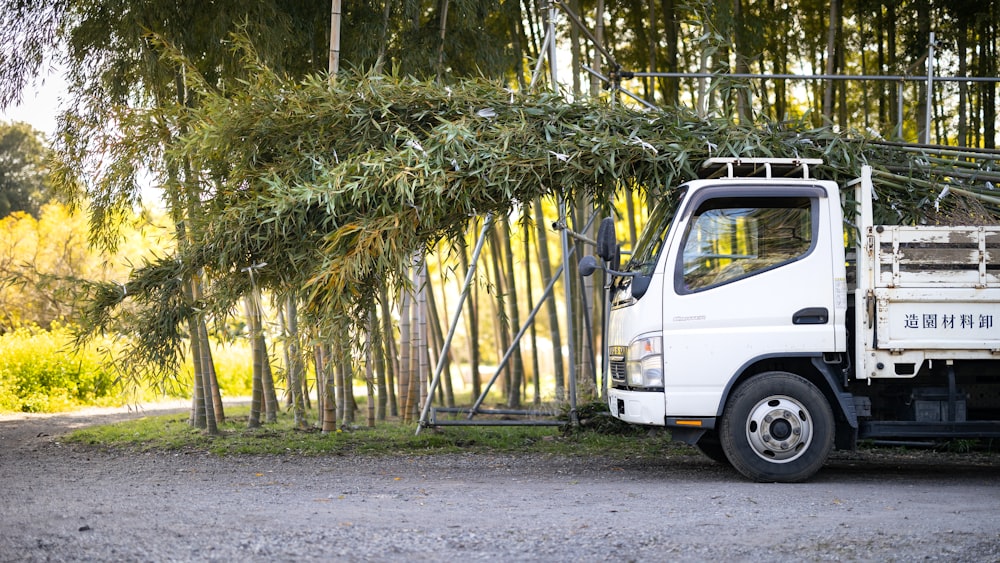 a white truck parked in front of a bamboo tree
