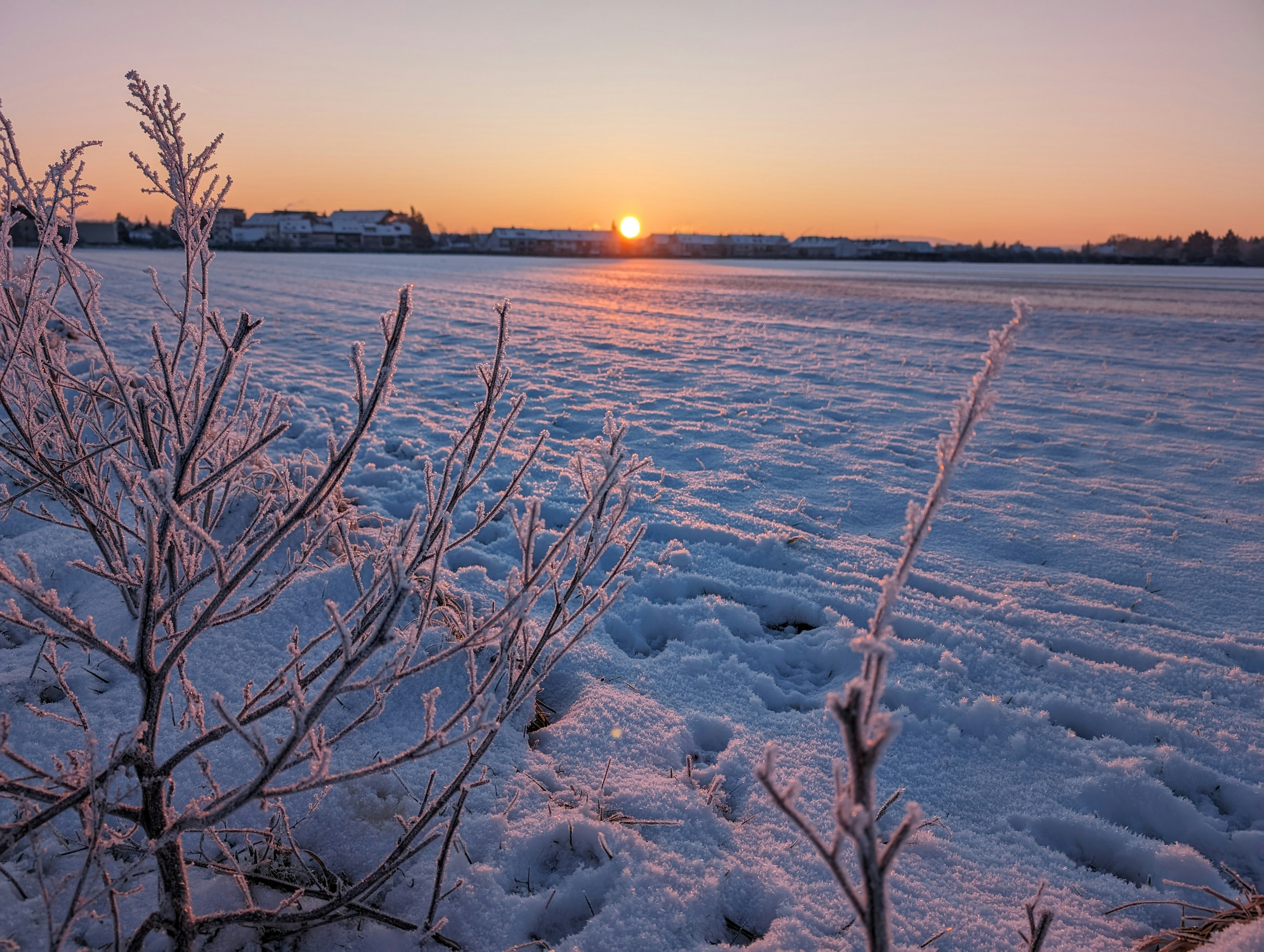 Photo by zlobiwankenobi