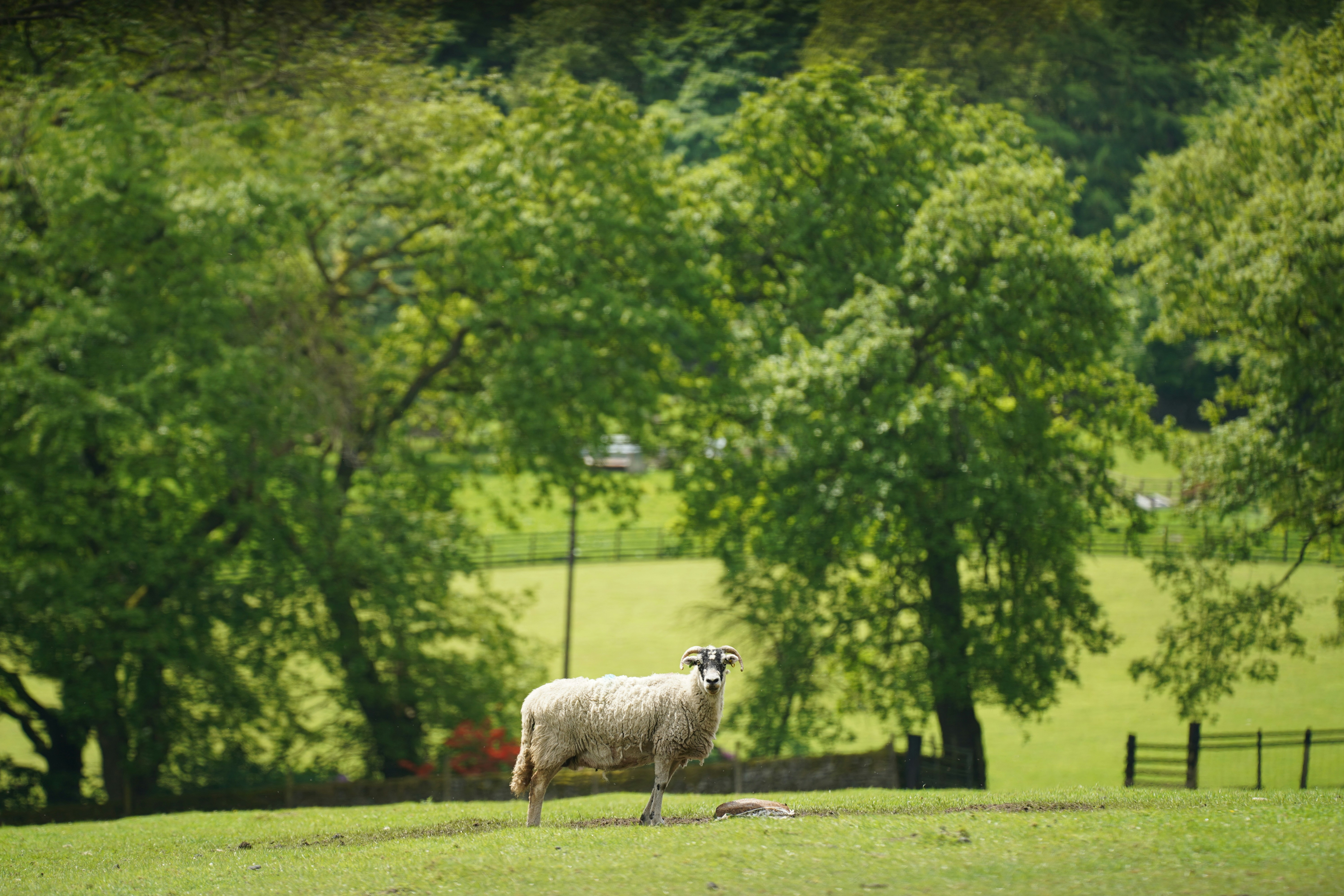 Photo by zero0clockjpeg