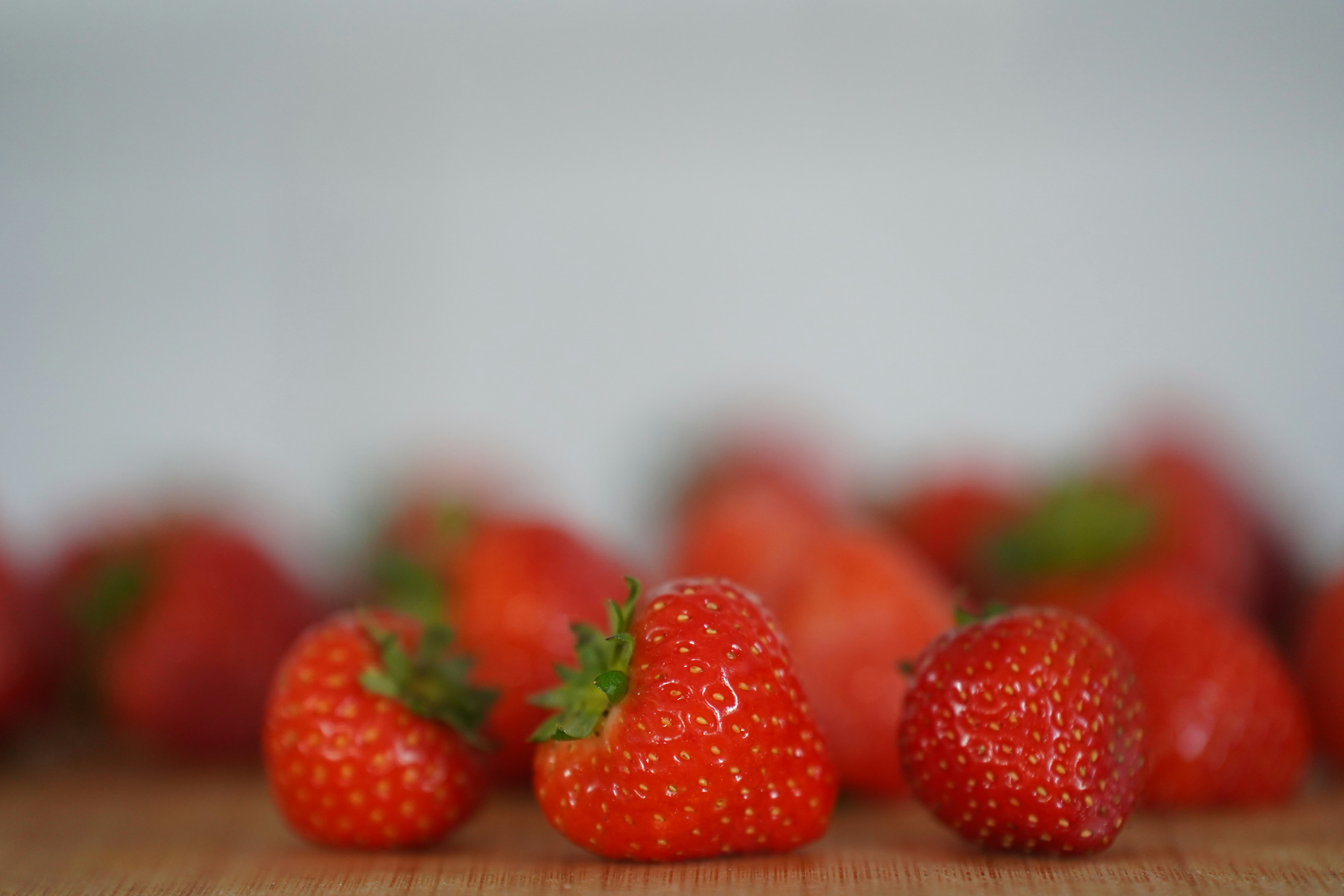 Photo by zero0clockjpeg