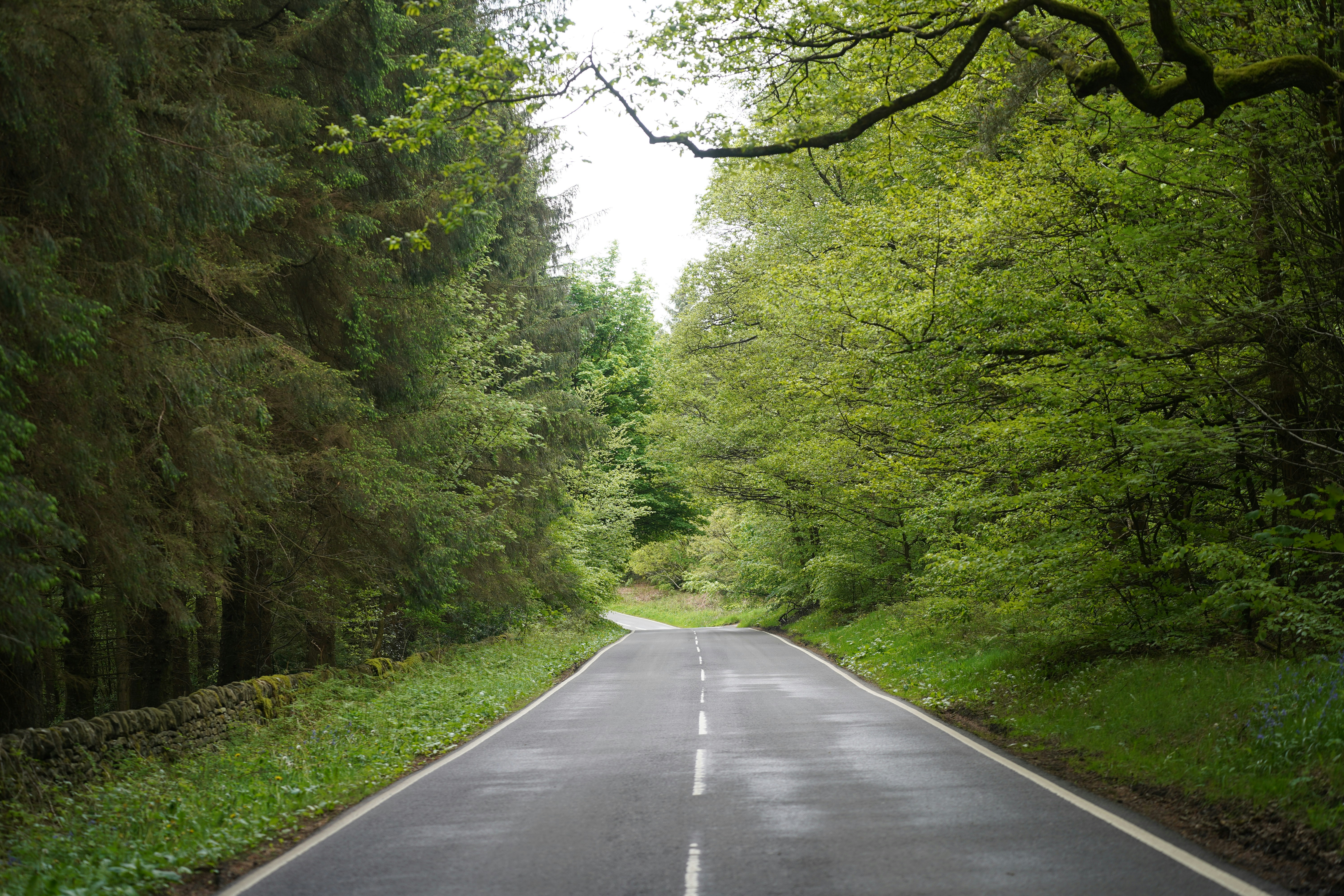 Photo by zero0clockjpeg