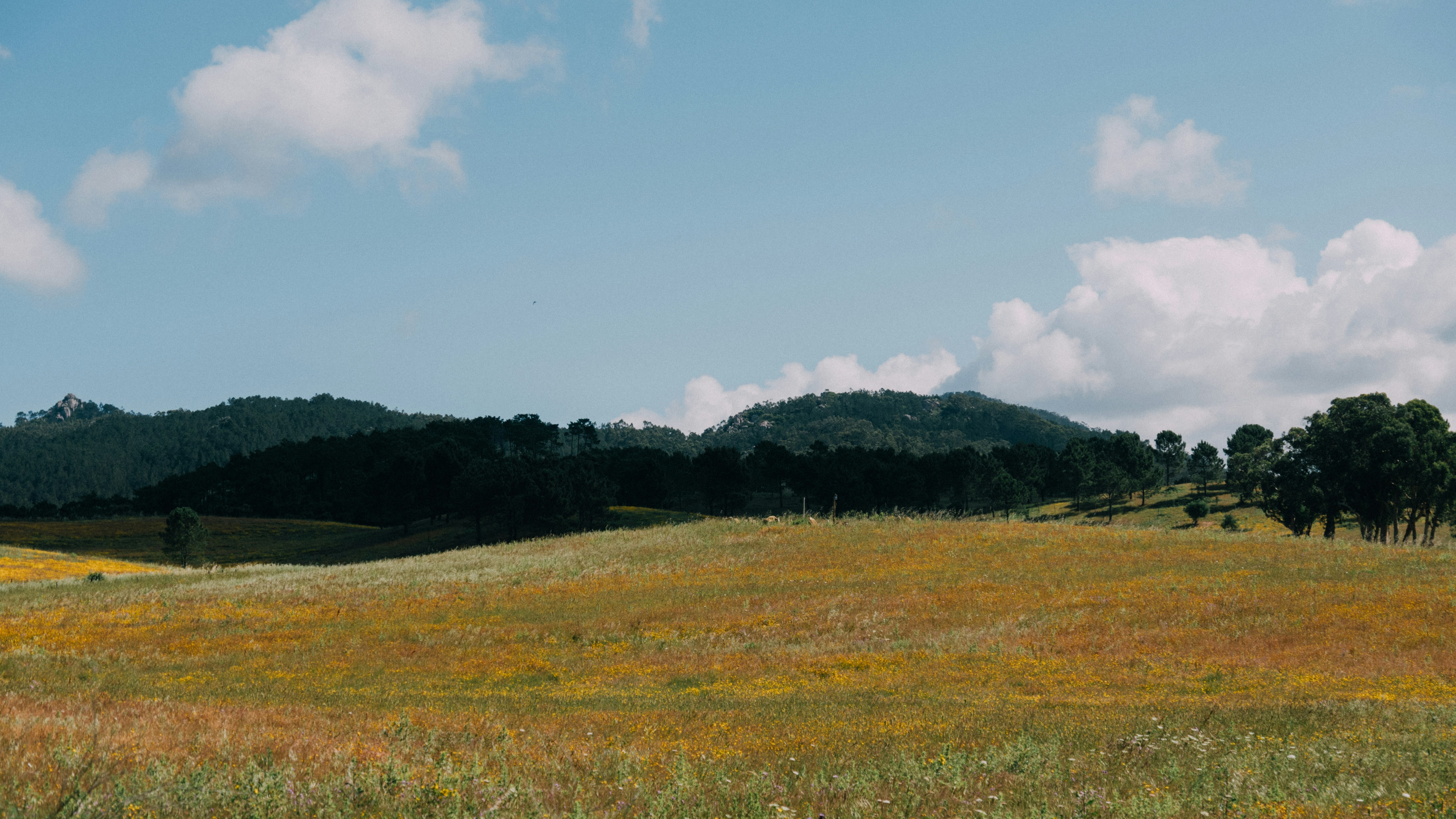 Photo by snapshot_journey