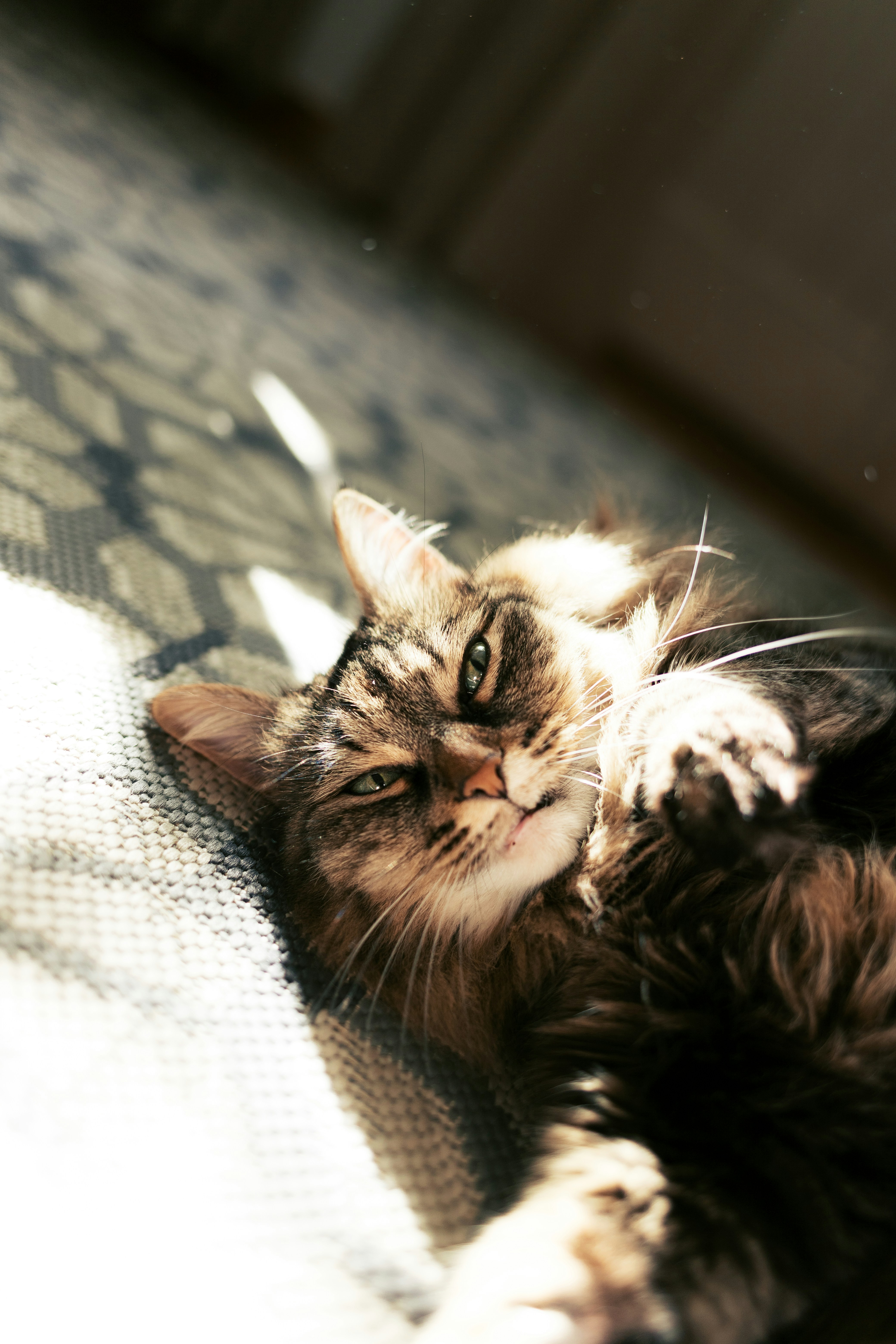 Photo by nikita_pishchugin