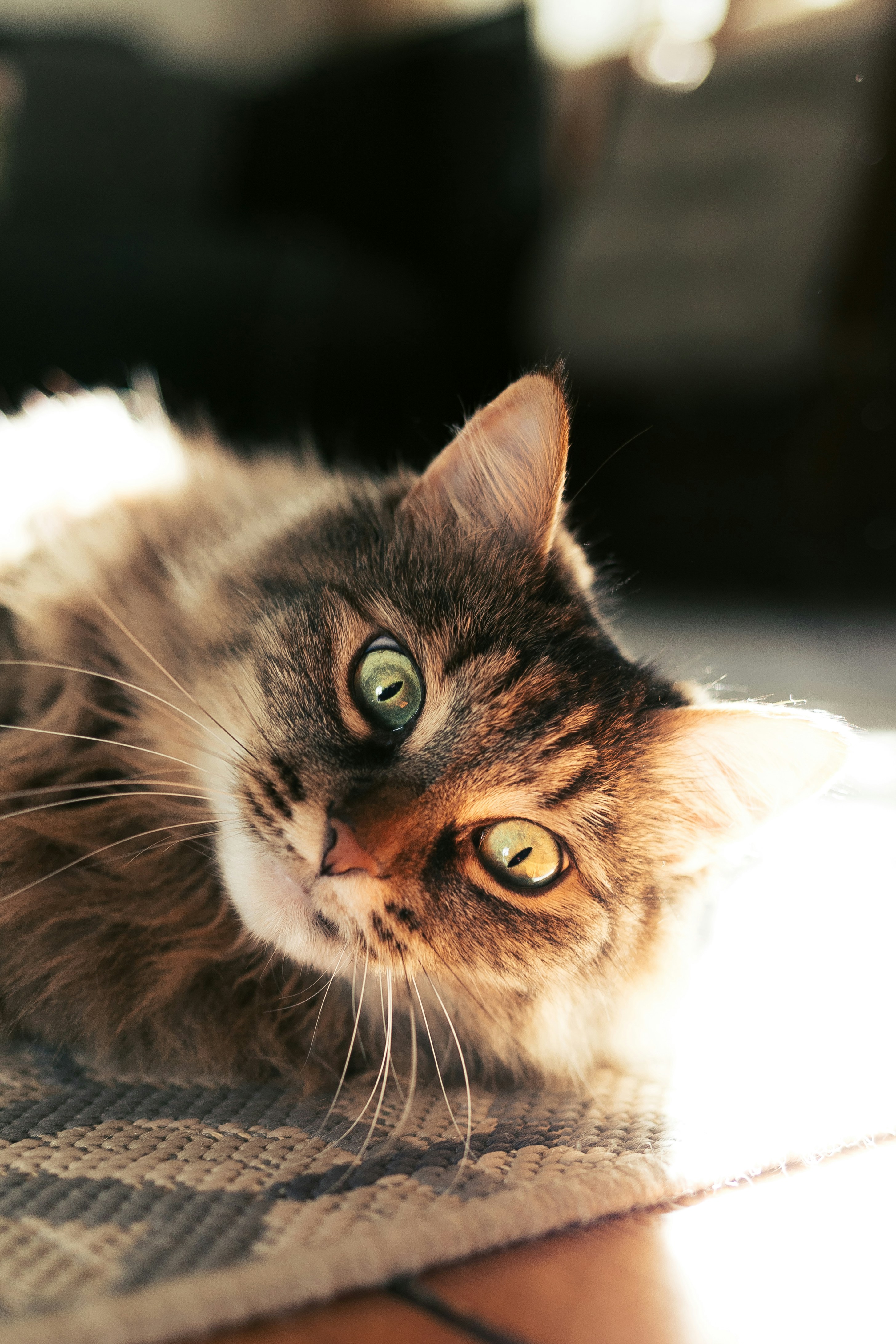 Photo by nikita_pishchugin