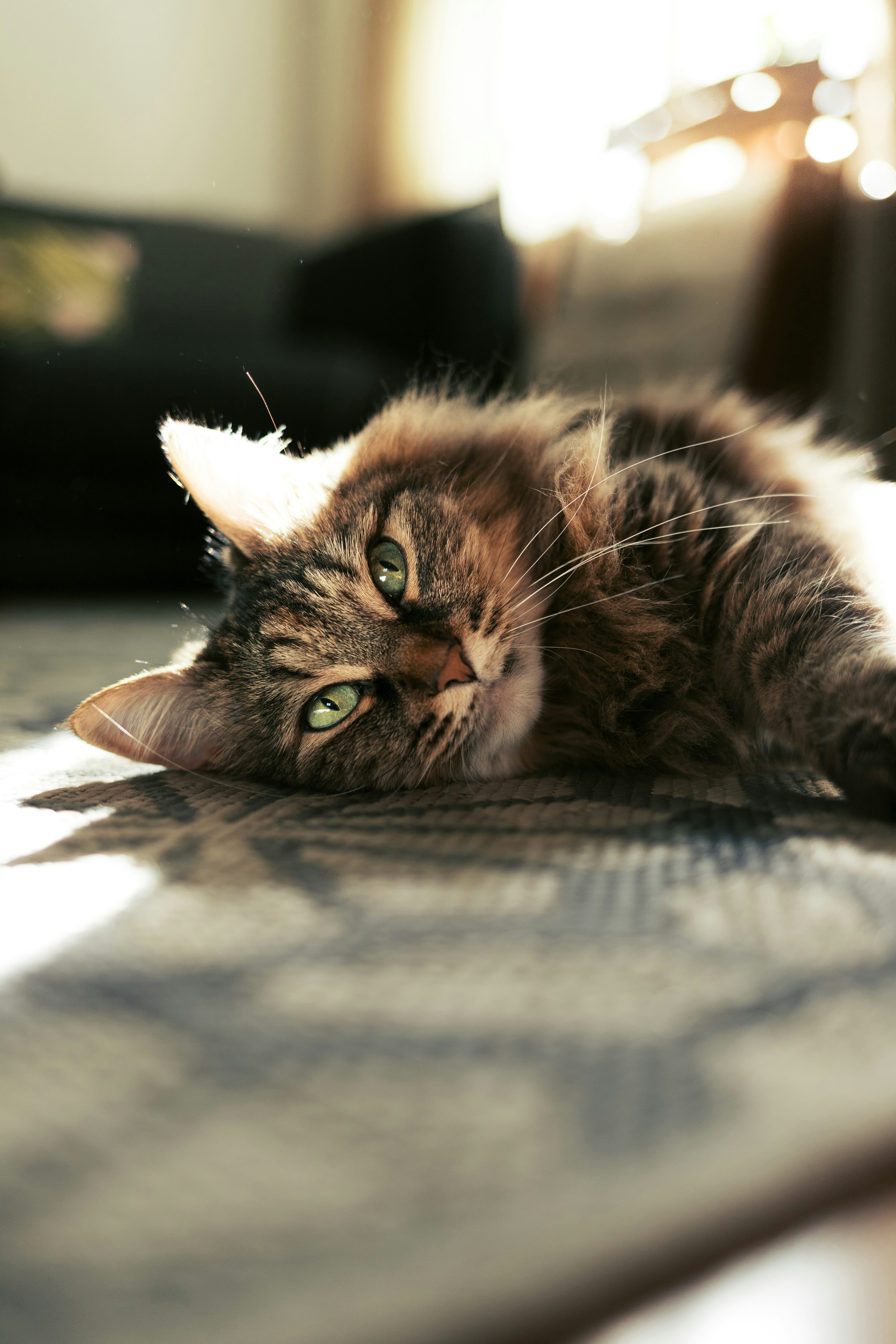 Photo by nikita_pishchugin