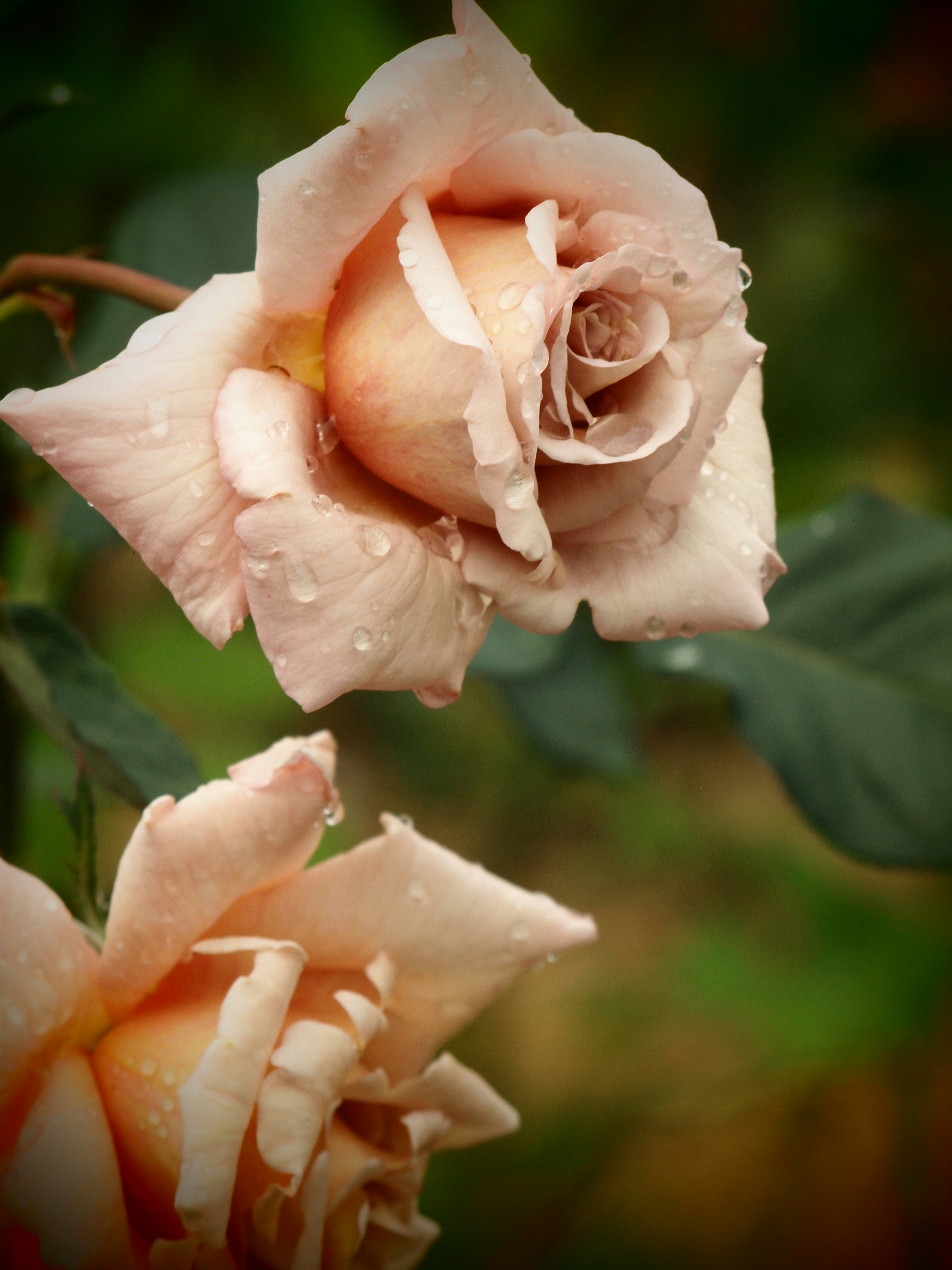 Photo by ditakesphotos